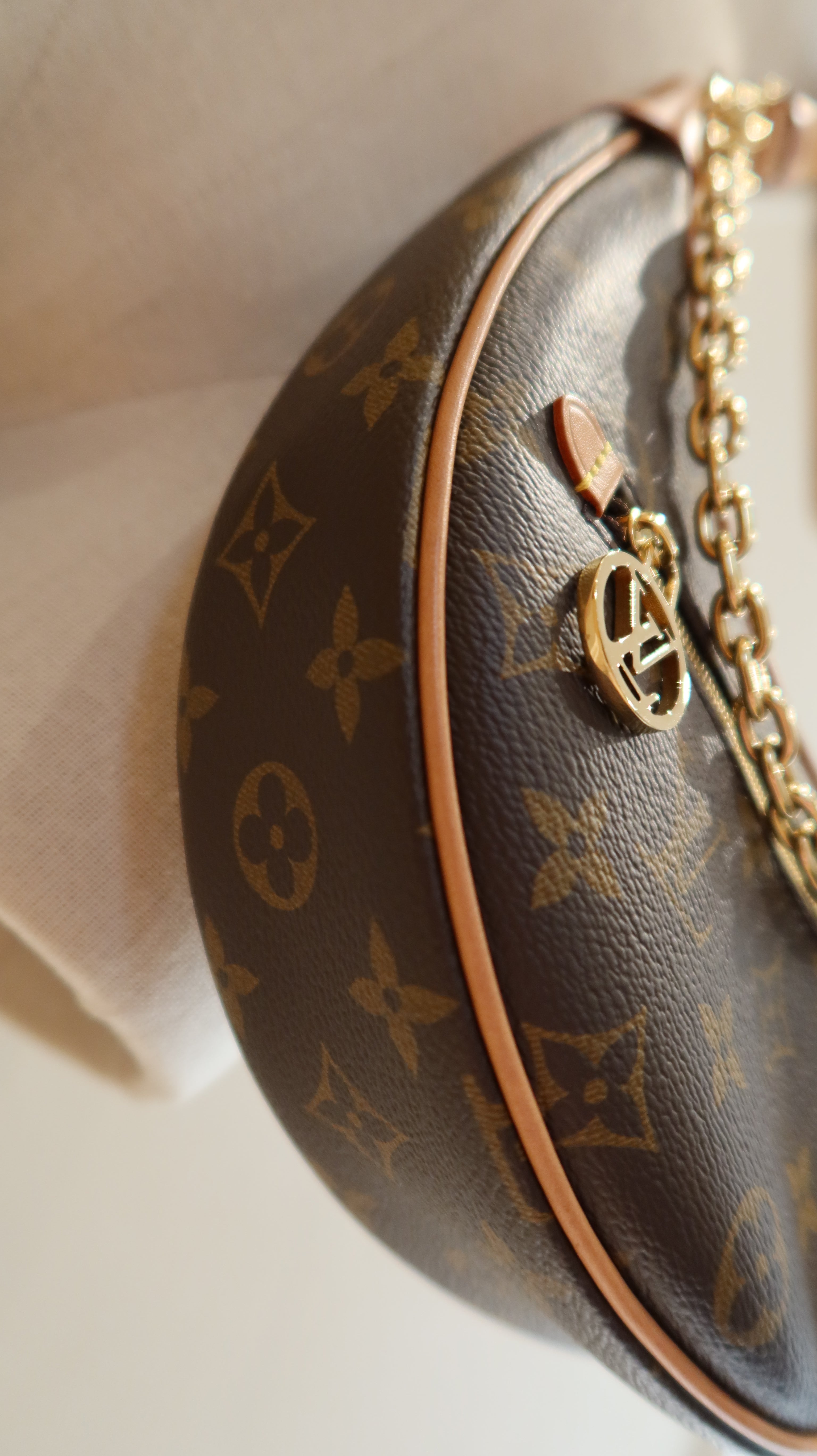 Louis Vuitton Loop PM Bag