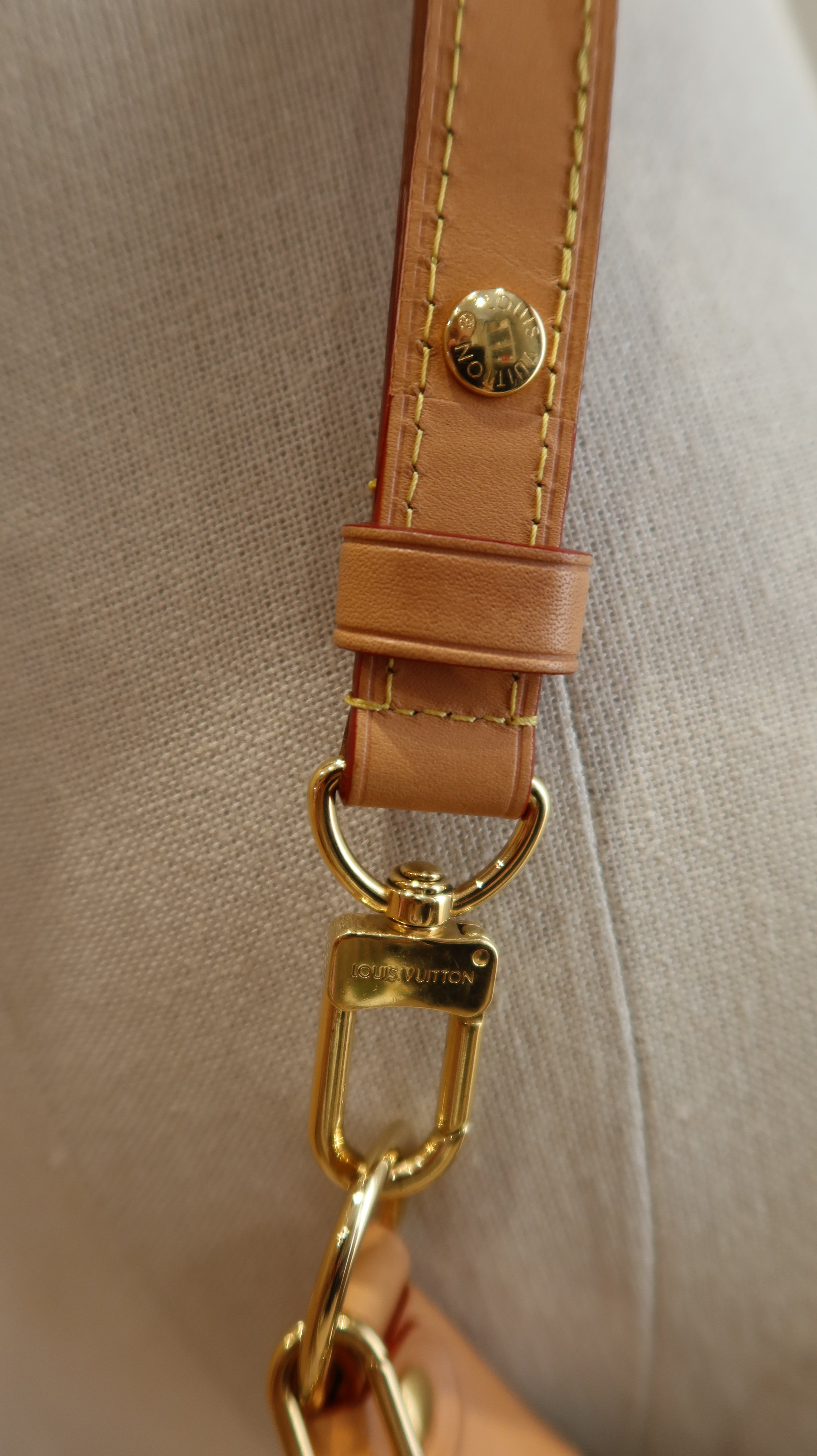 Louis Vuitton Loop PM Bag