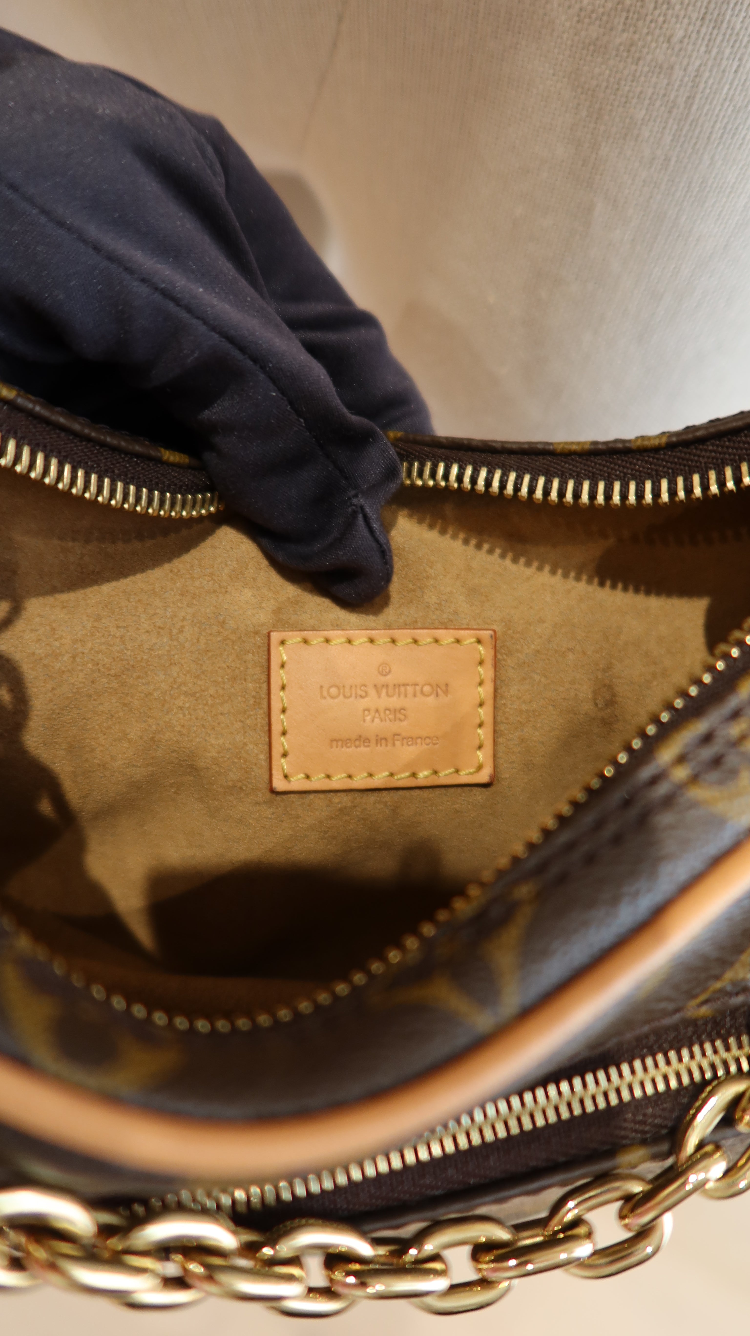 Louis Vuitton Loop PM Bag