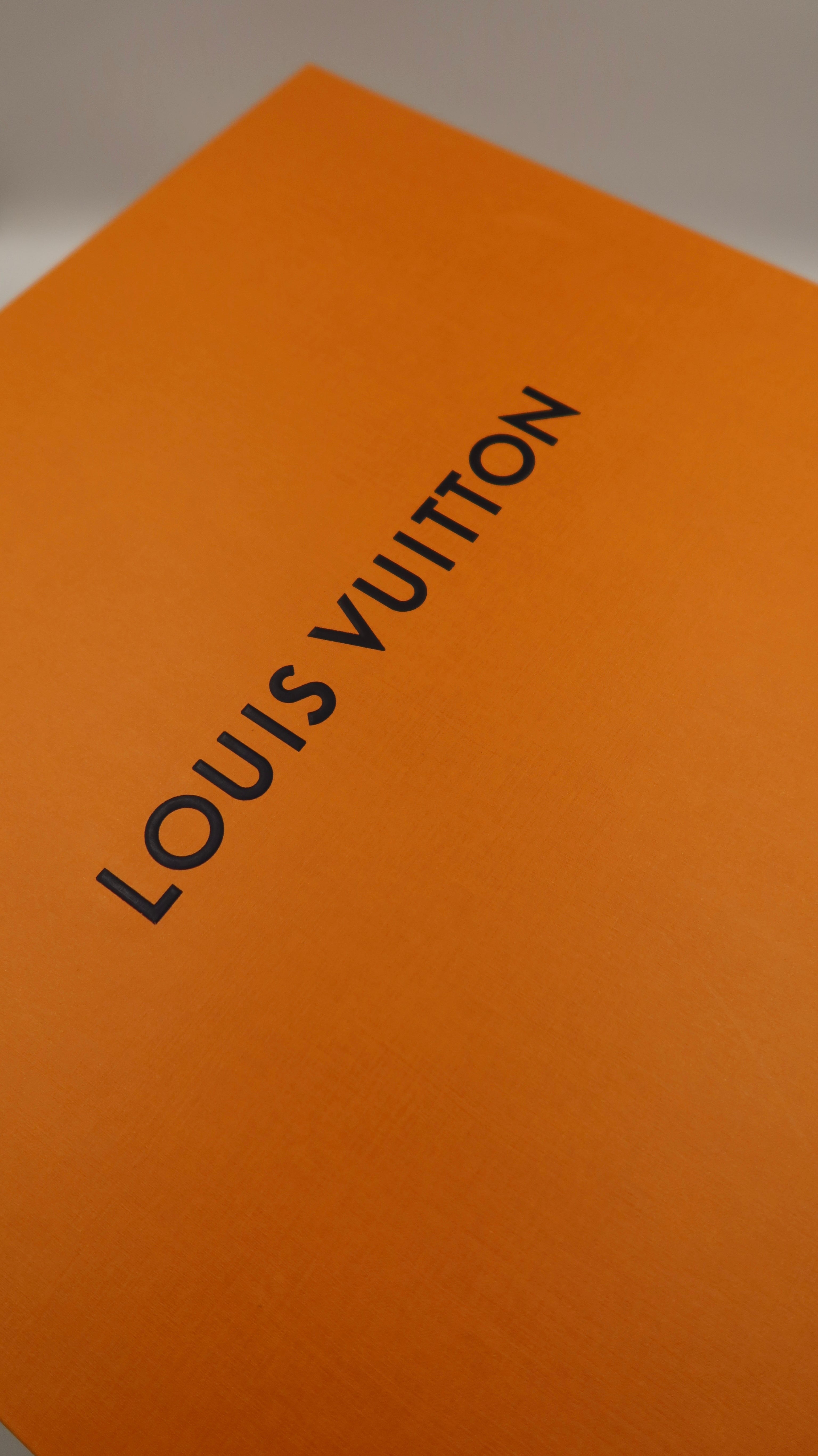 Louis Vuitton Hampstead MM Tote Bag