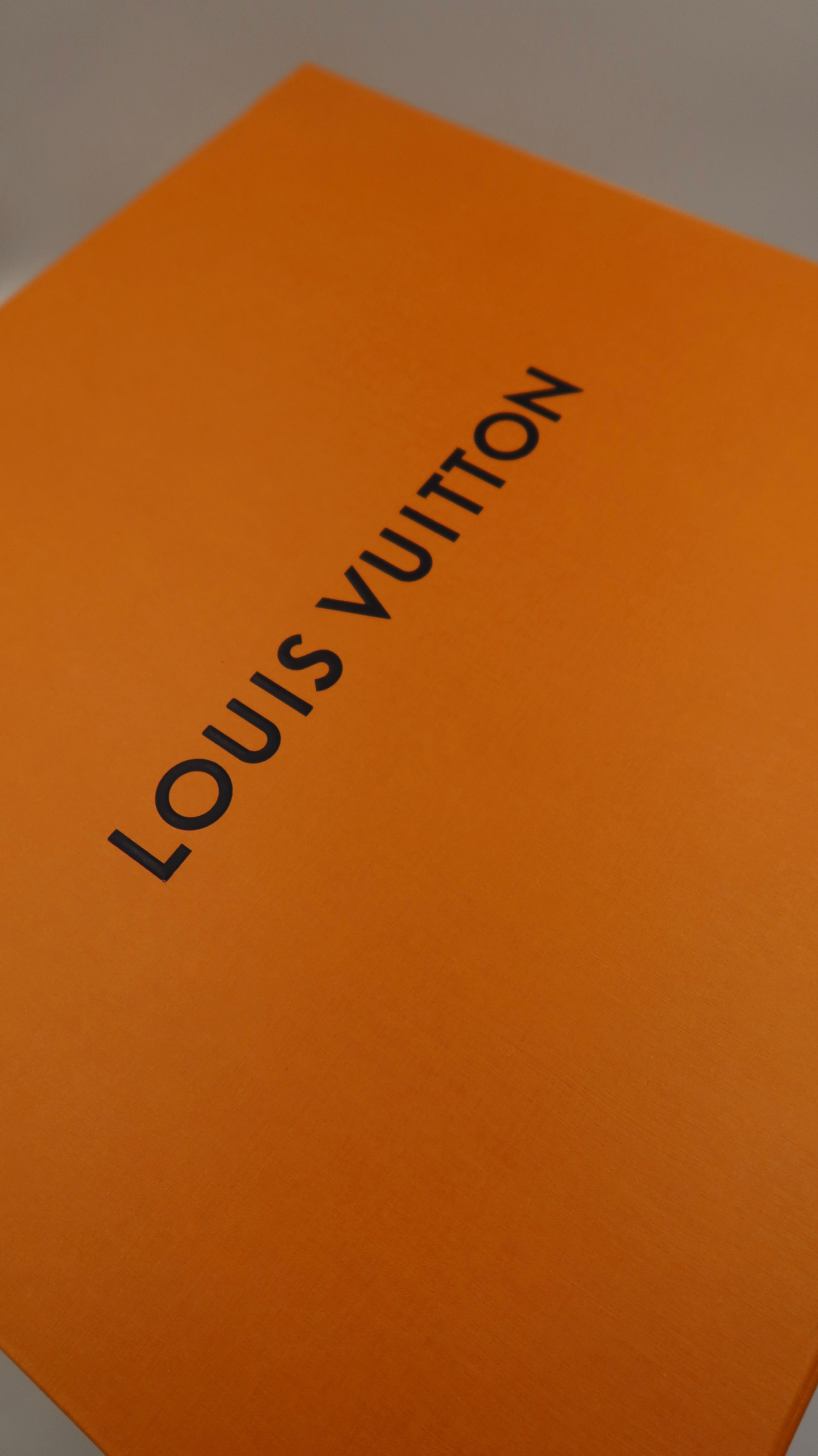 Louis Vuitton Biker MM Bag *Store Fresh*