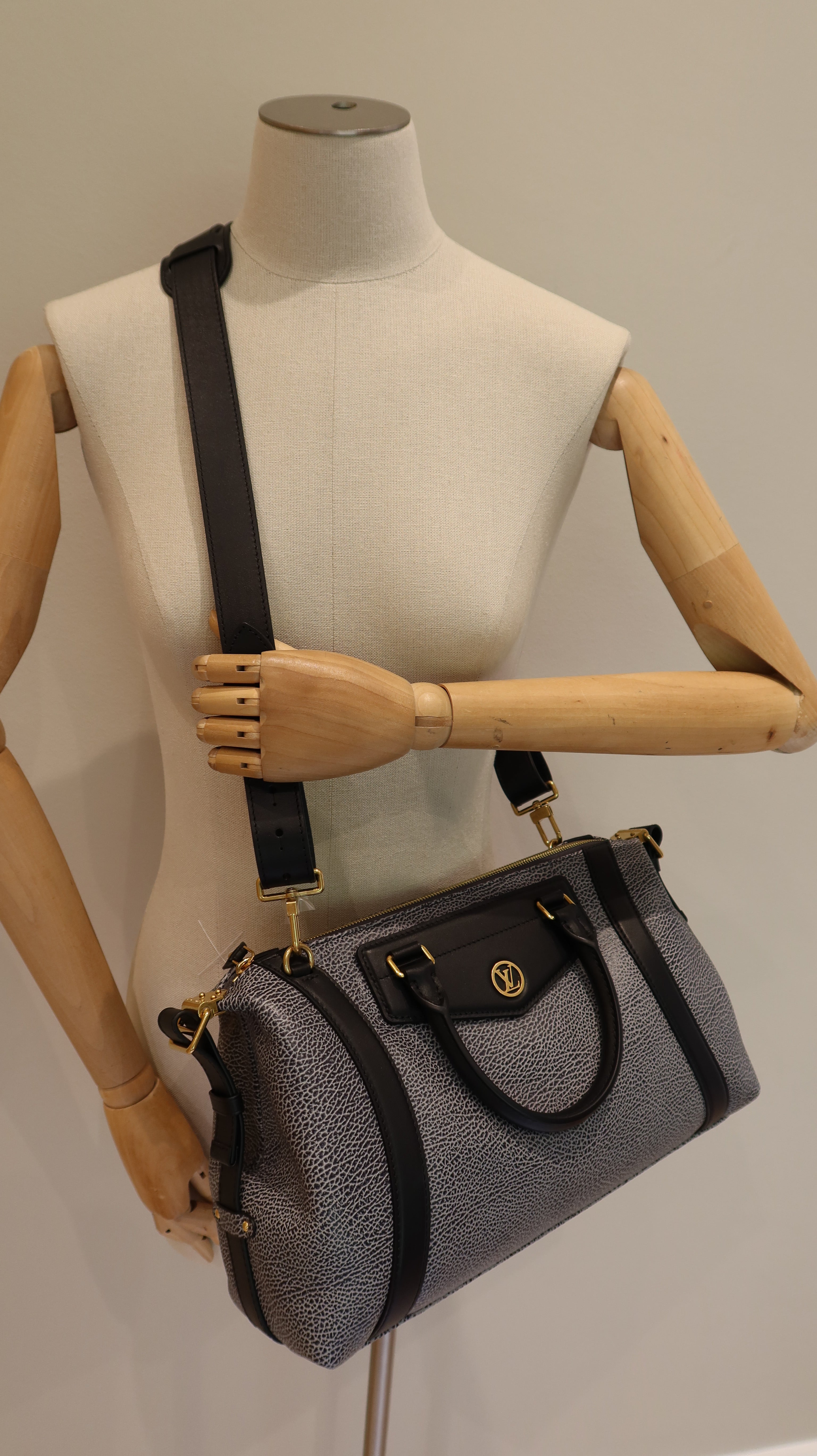 Louis Vuitton Biker MM Bag *Store Fresh*