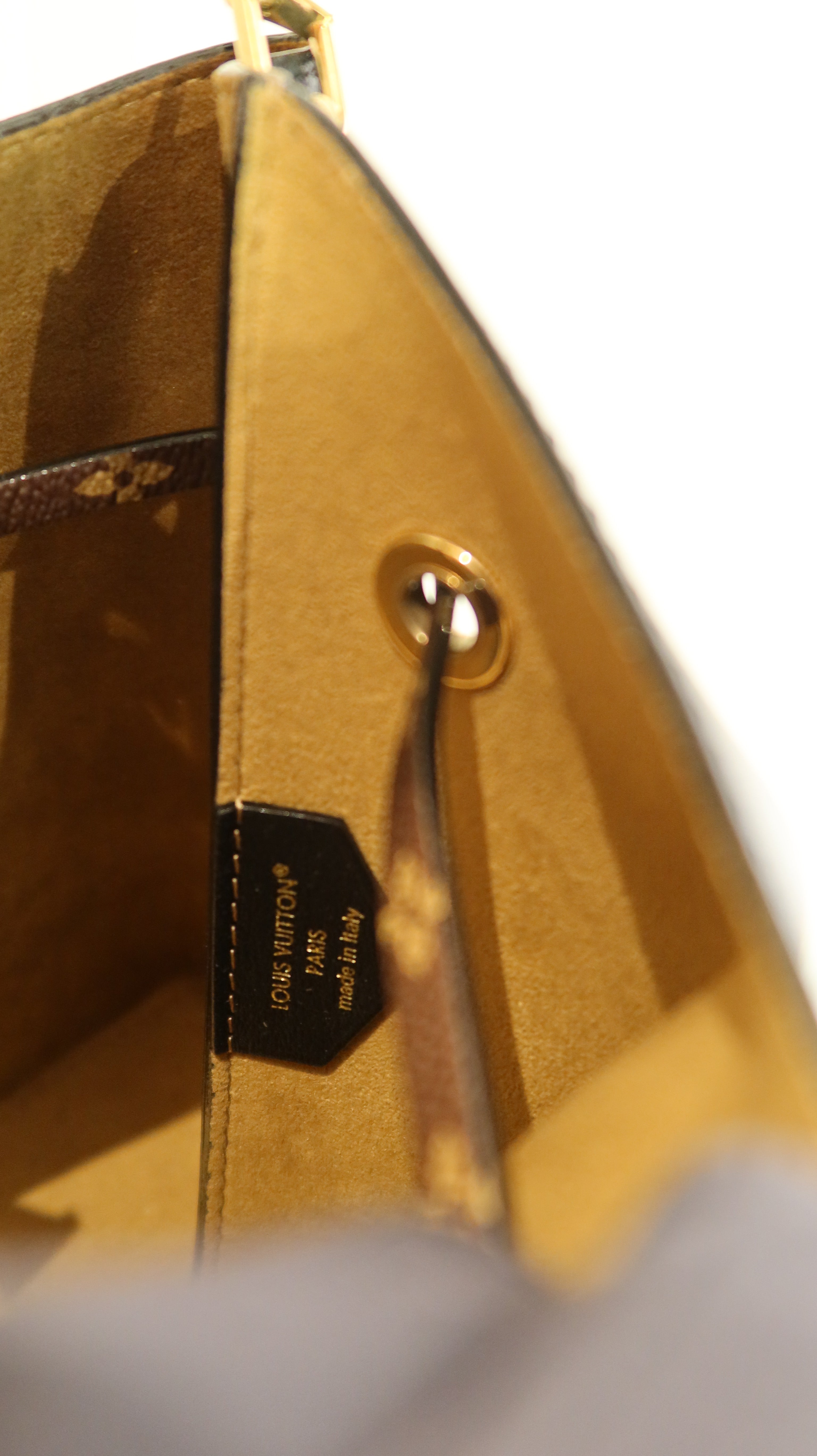 Louis Vuitton Bloom PM Bag *Runway/Collectors Piece*