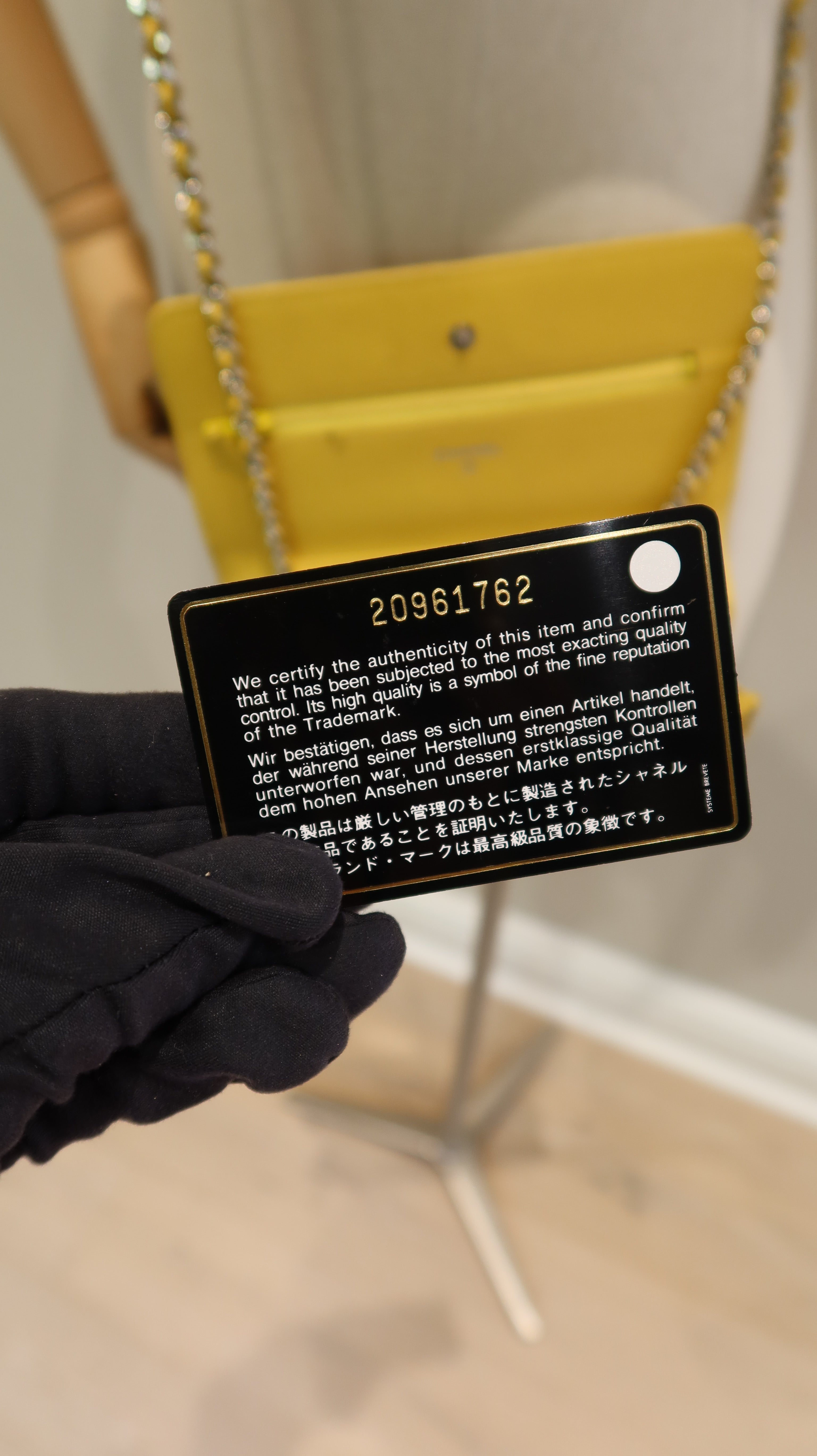 Chanel Wallet On Chain