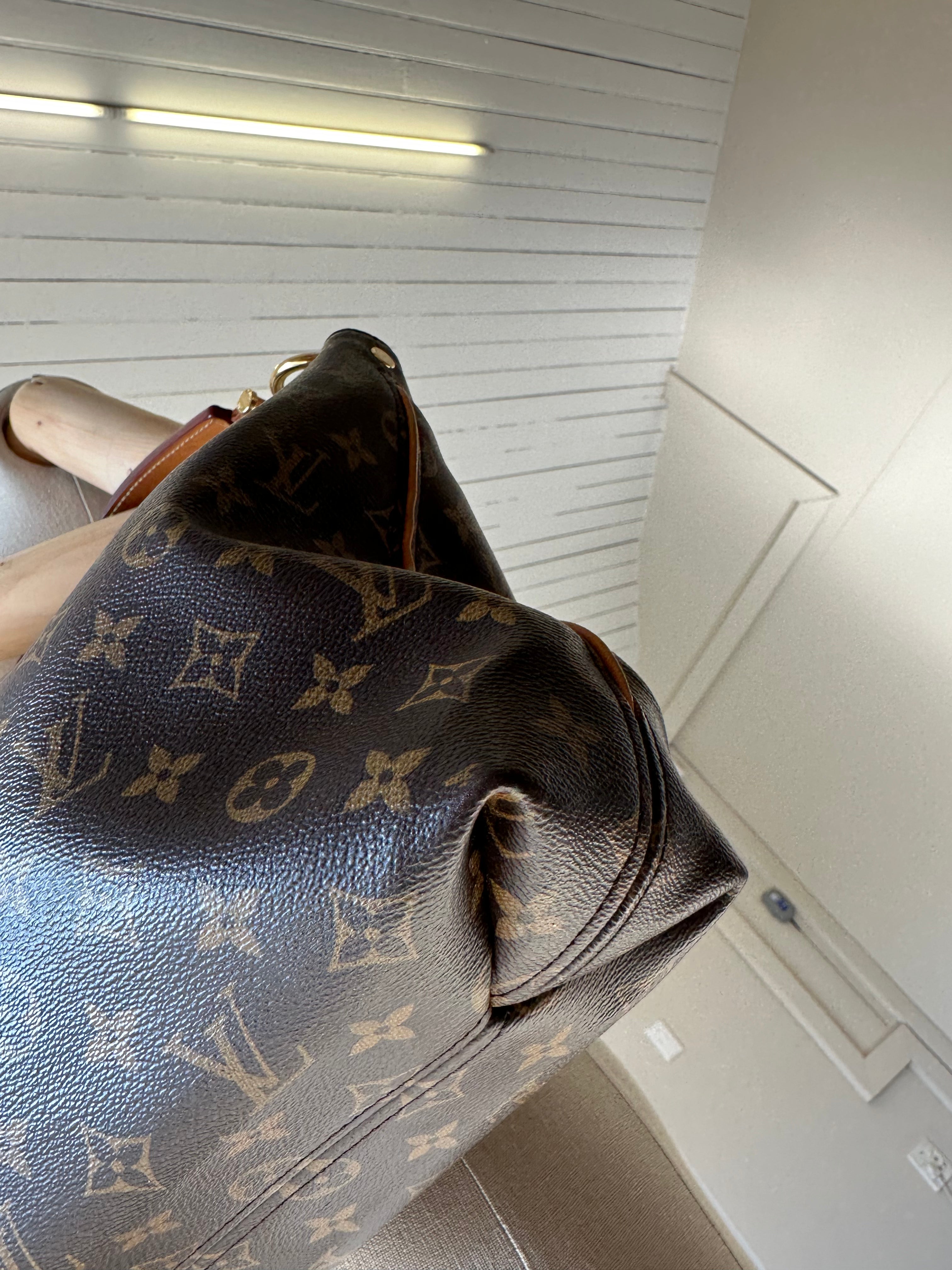 Louis Vuitton Sully PM Bag