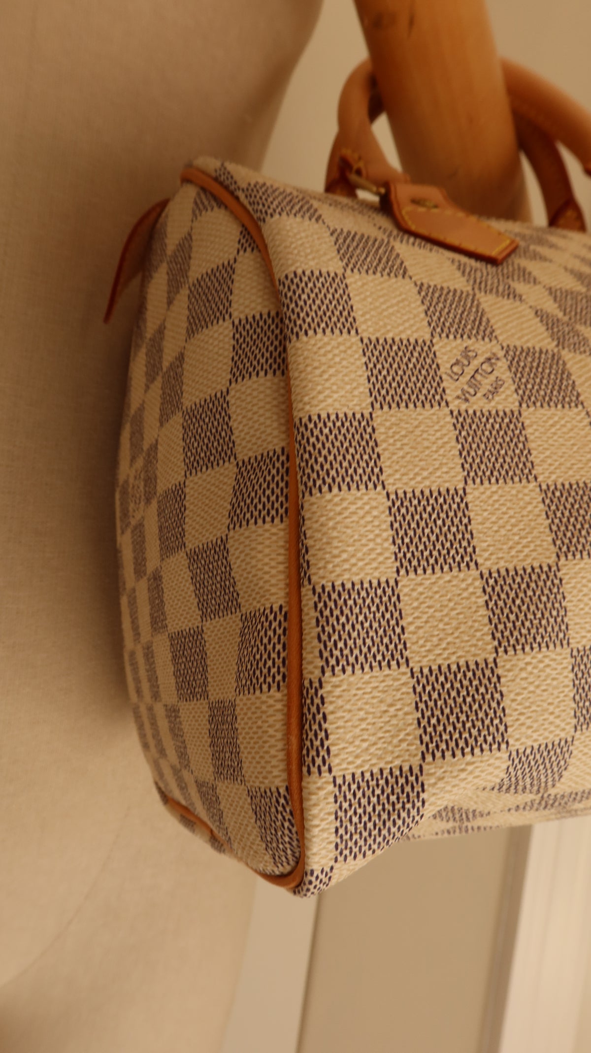 Louis Vuitton Speedy 25