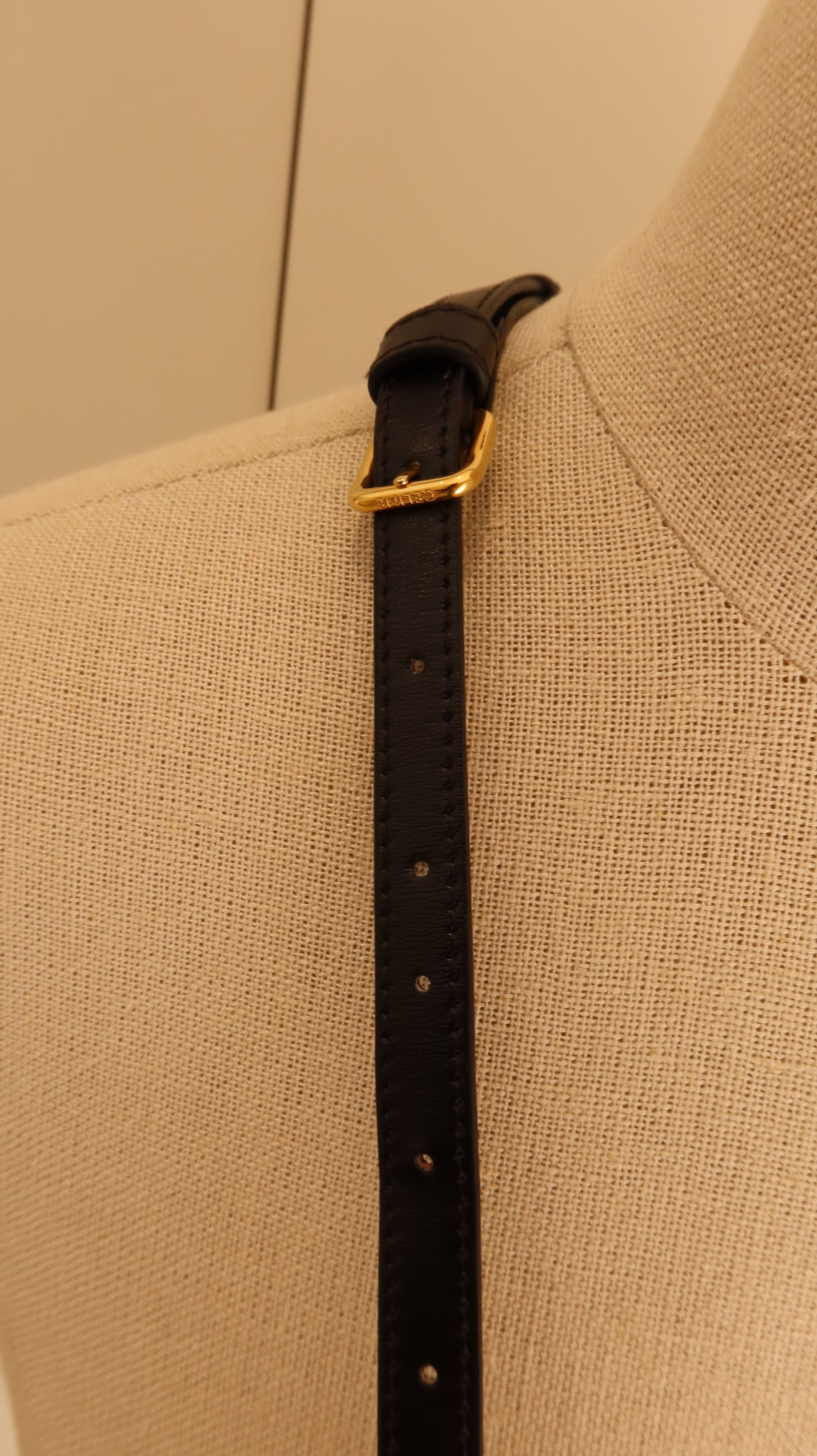Celine Triomphe Bag