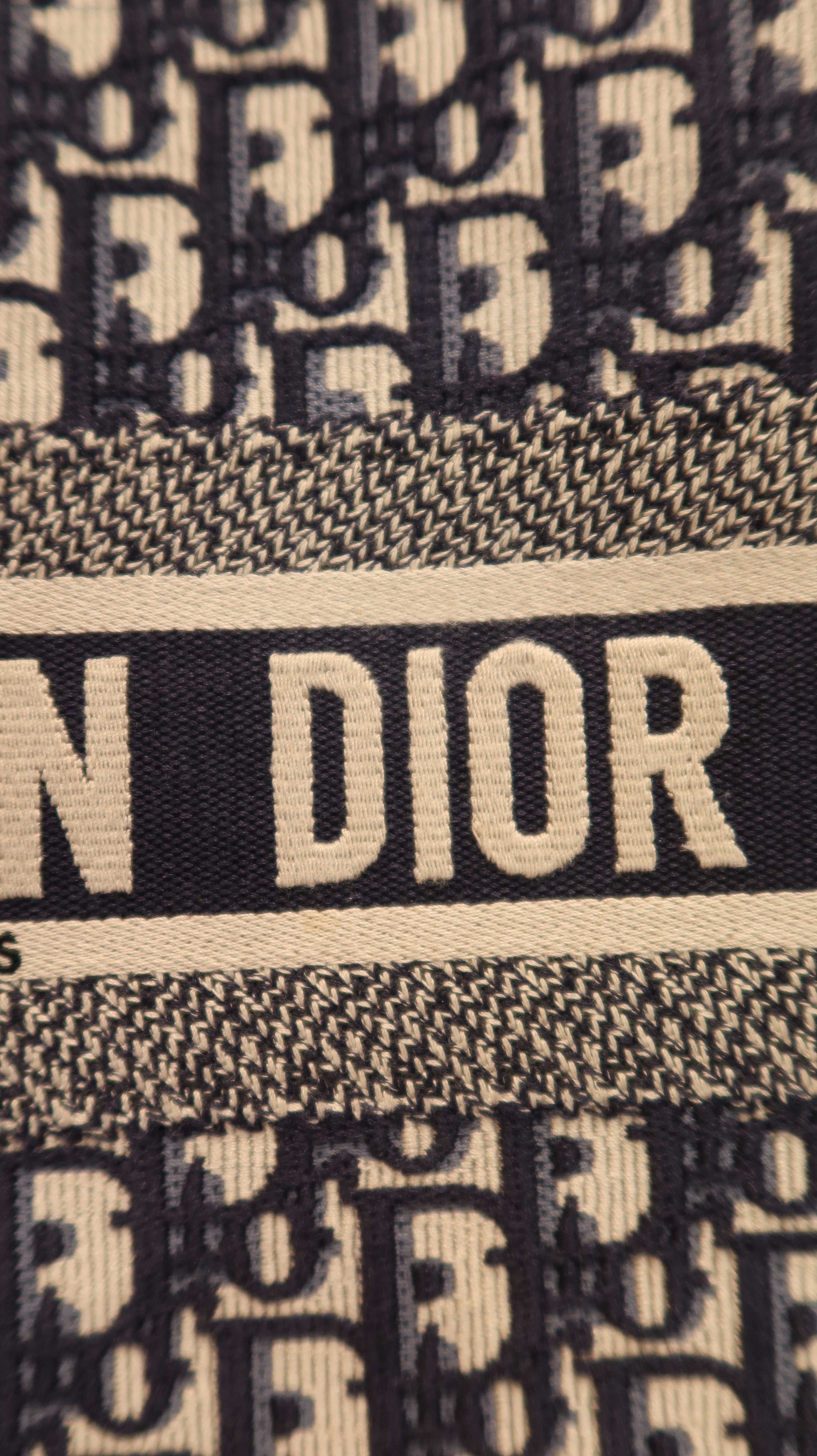 Christian Dior Book Tote