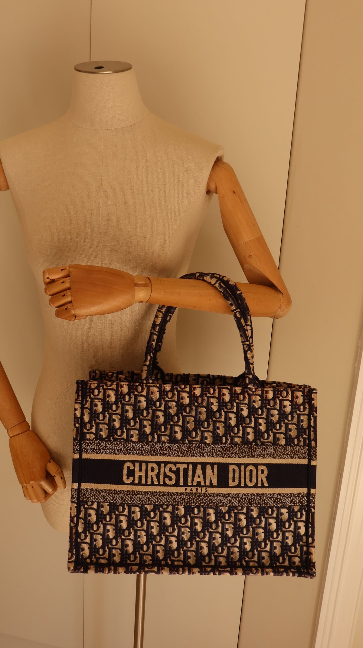 Christian Dior Book Tote