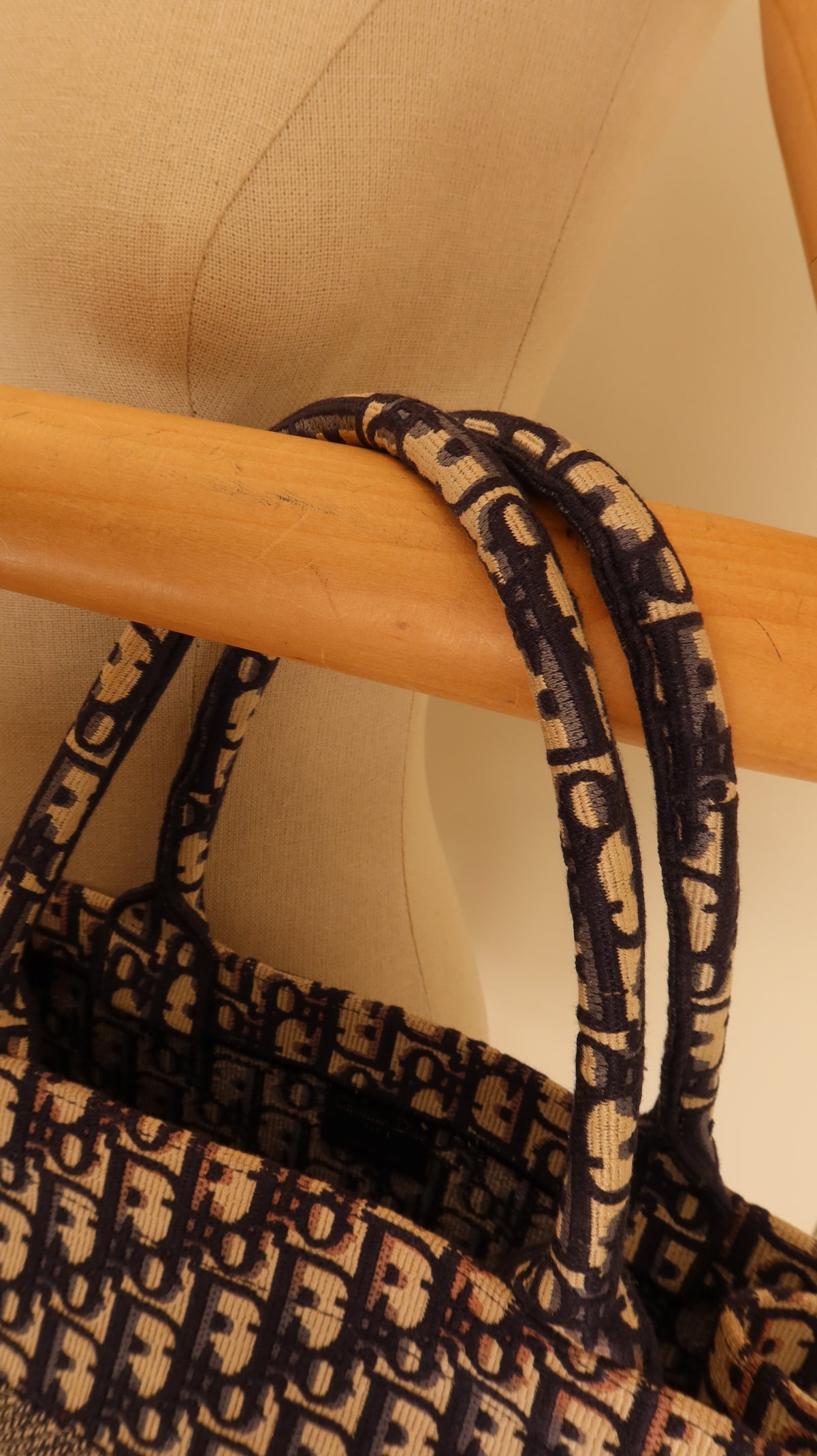 Christian Dior Book Tote