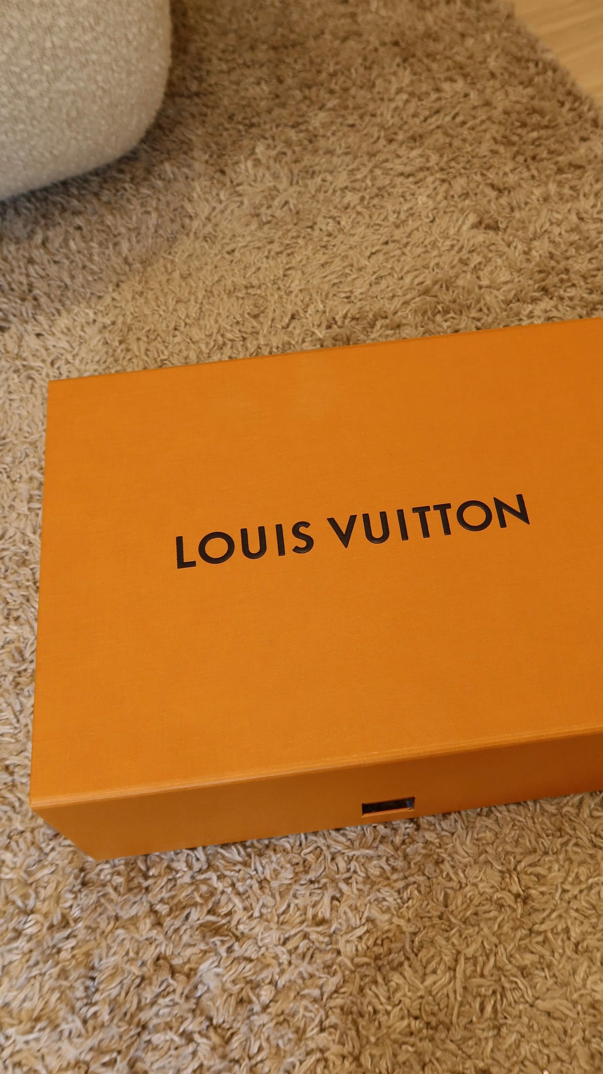 Louis Vuitton Diane PM Bag