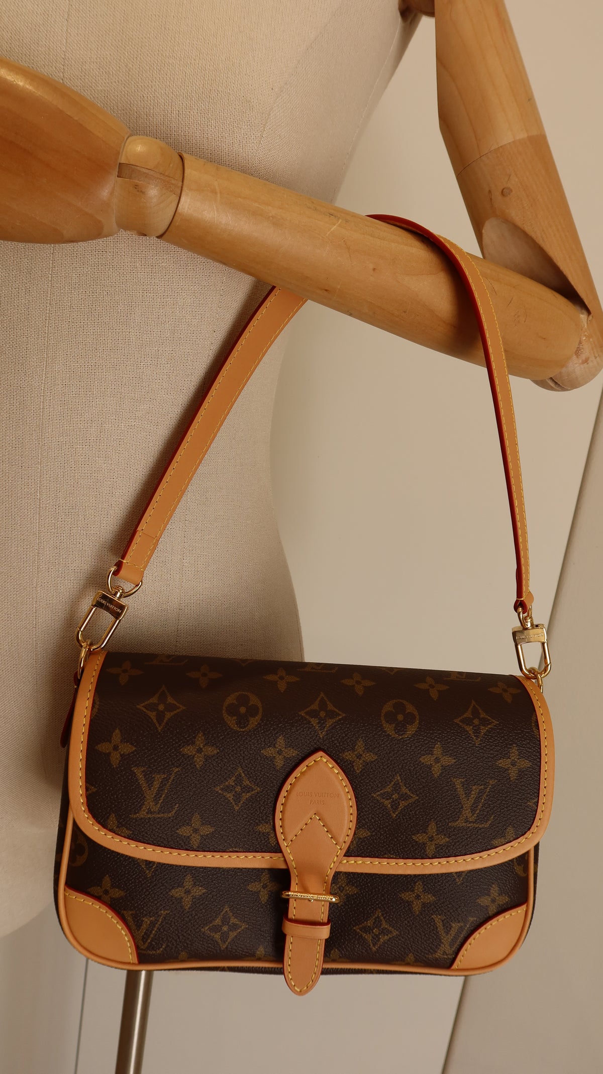 Louis Vuitton Diane PM Bag