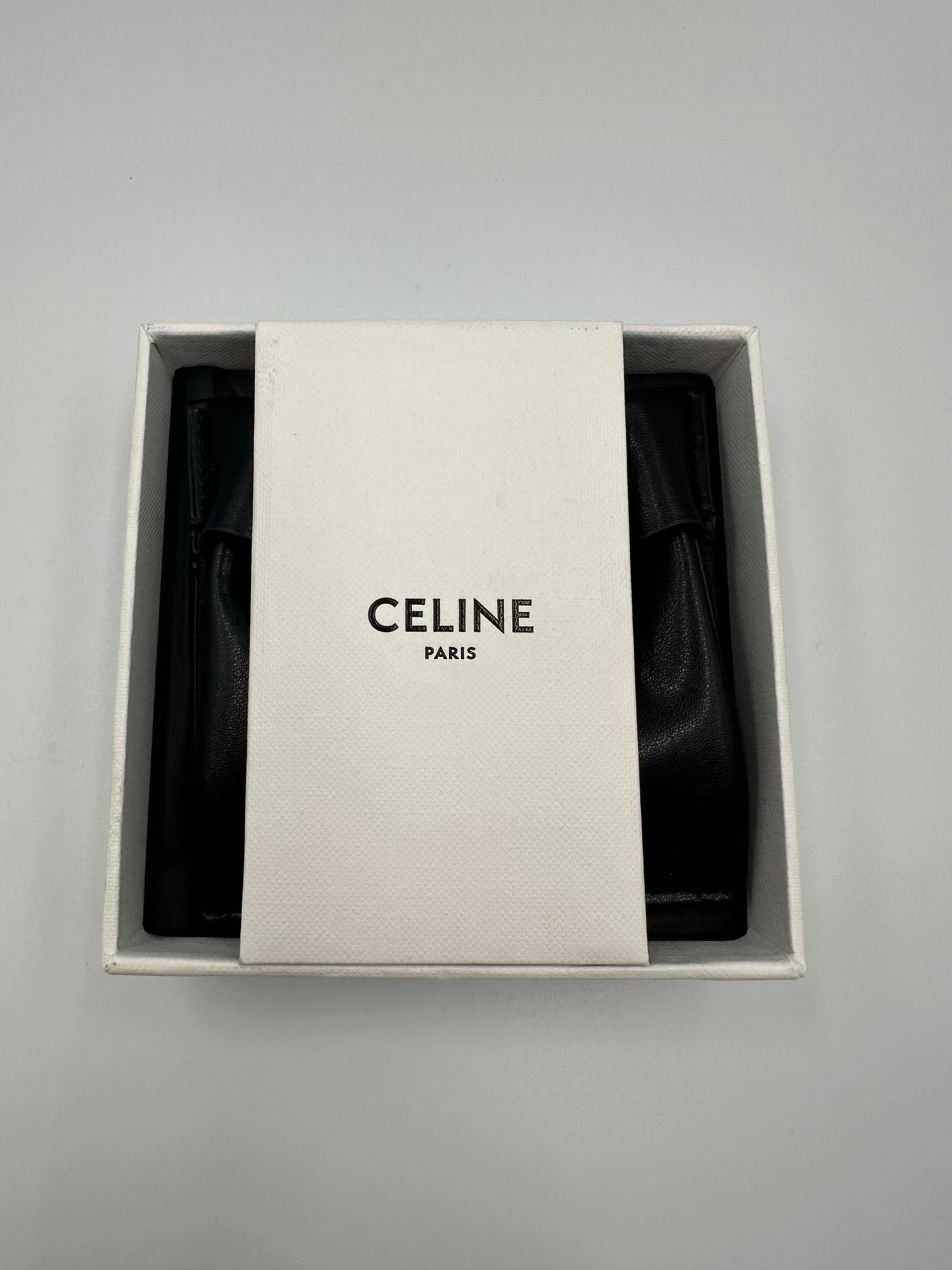 Celine Triomphe Earrings