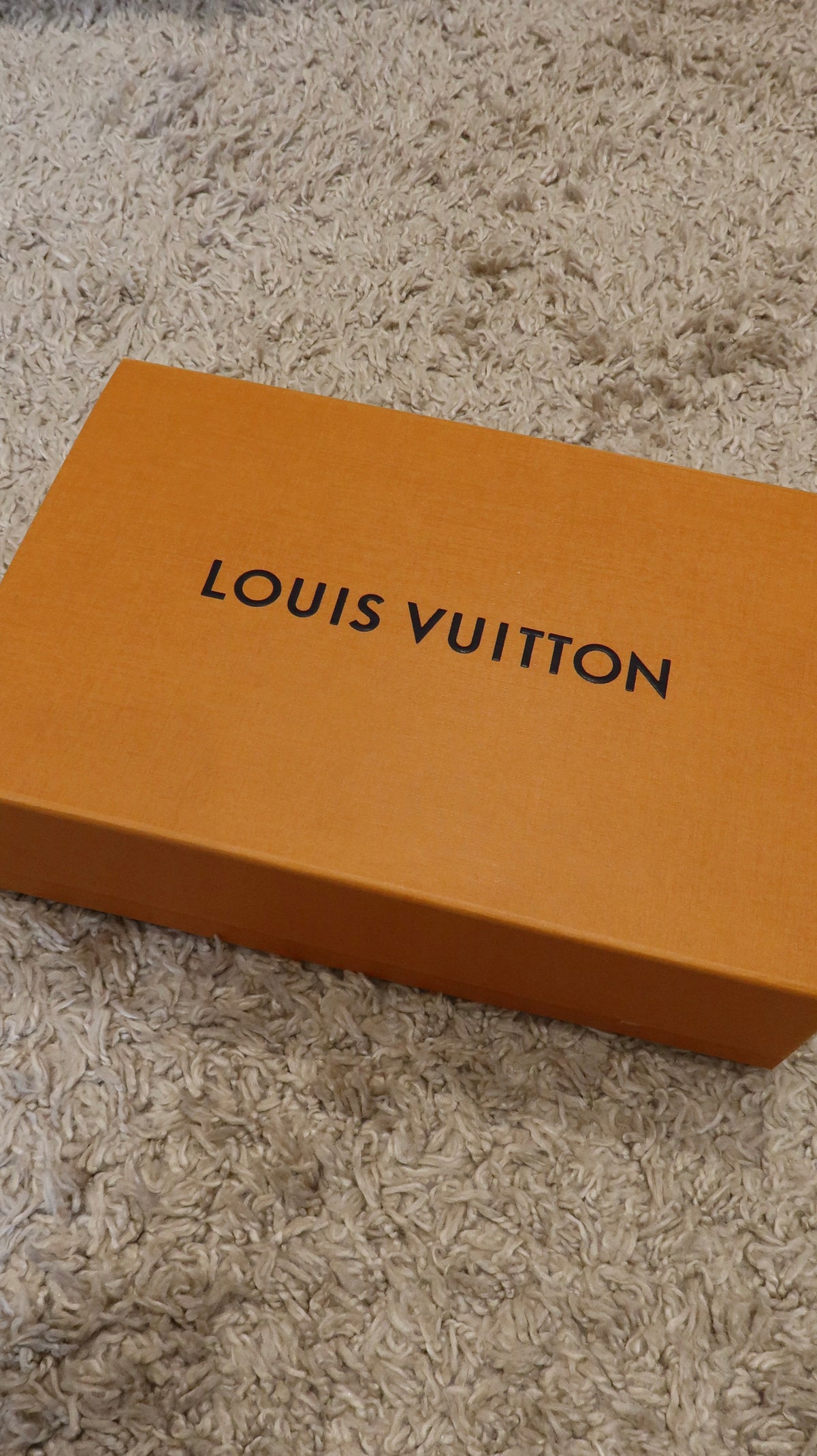 Louis Vuitton Coussin BB
