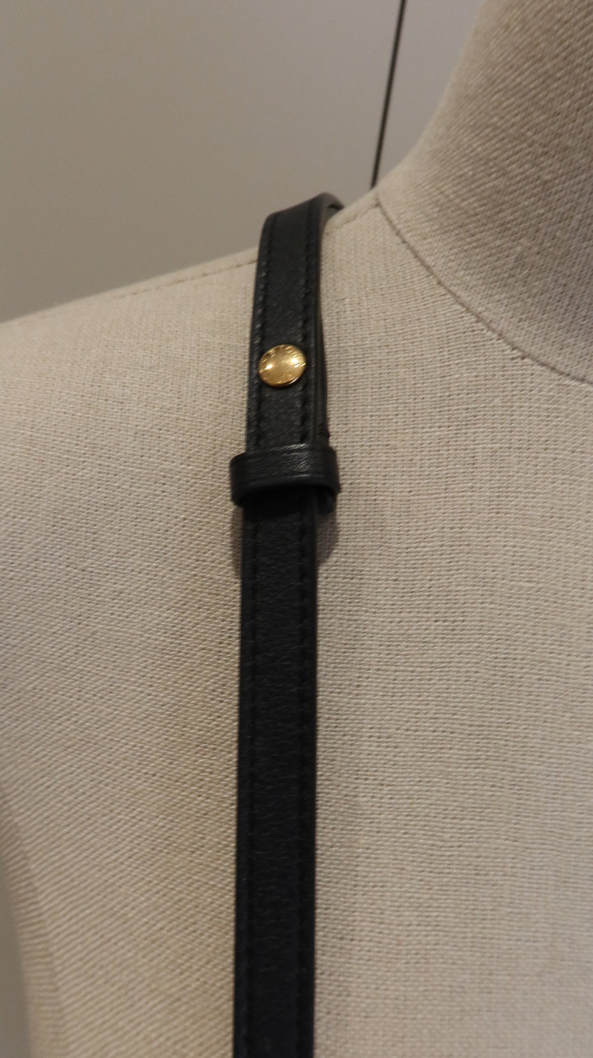 Louis Vuitton Coussin BB