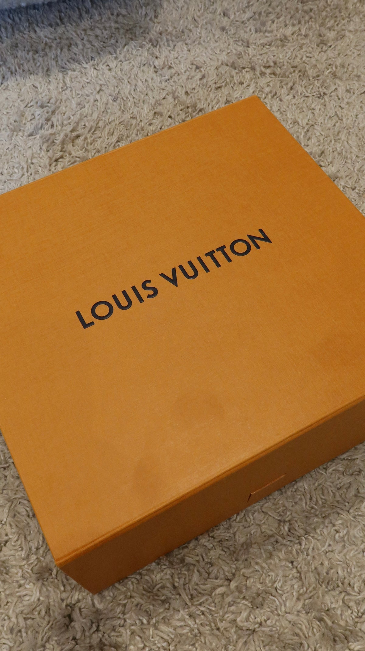 Louis Vuitton New Wave Bag