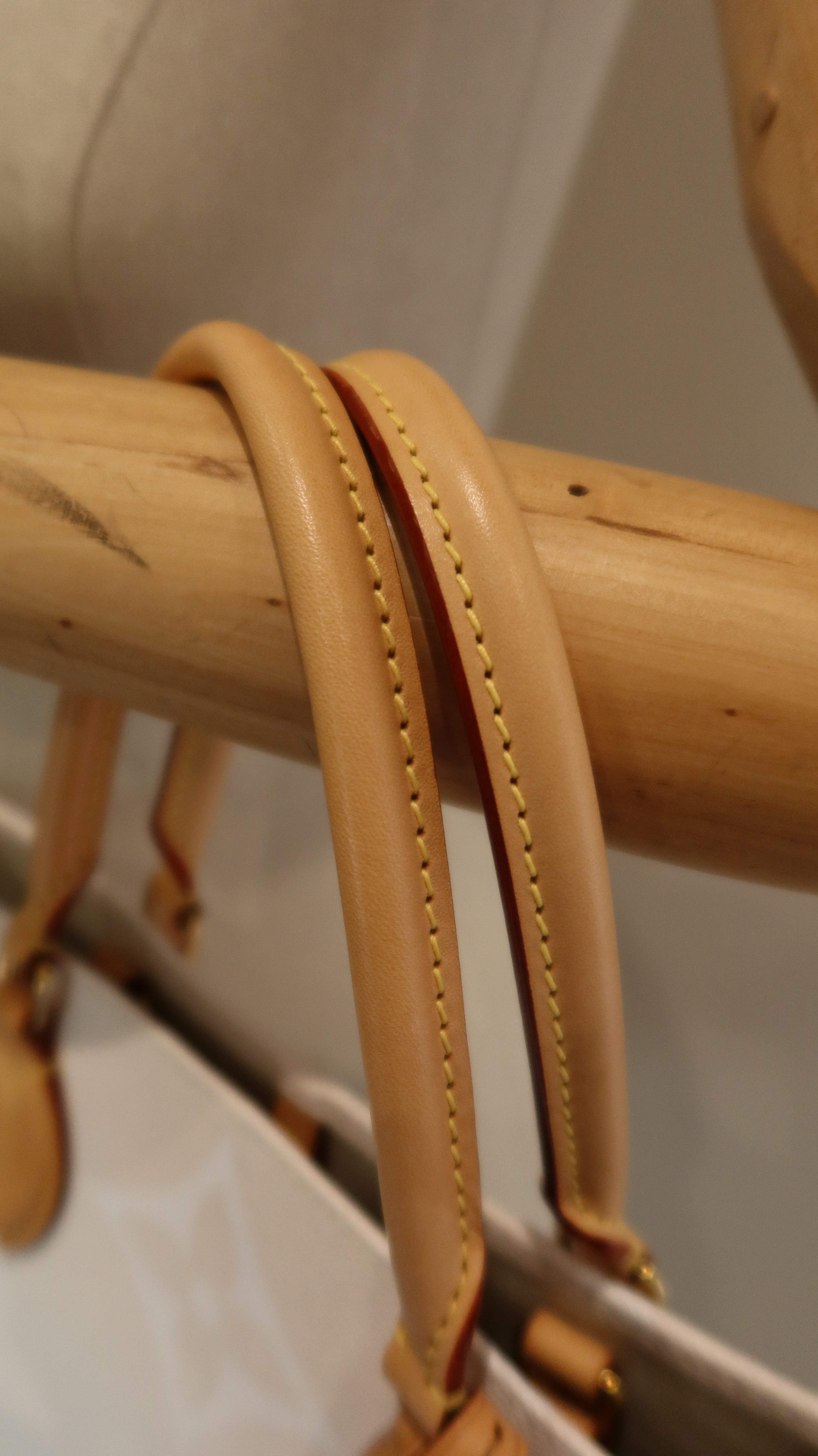 Louis Vuitton By The Pool ONTHEGO GM *Limited Edition*