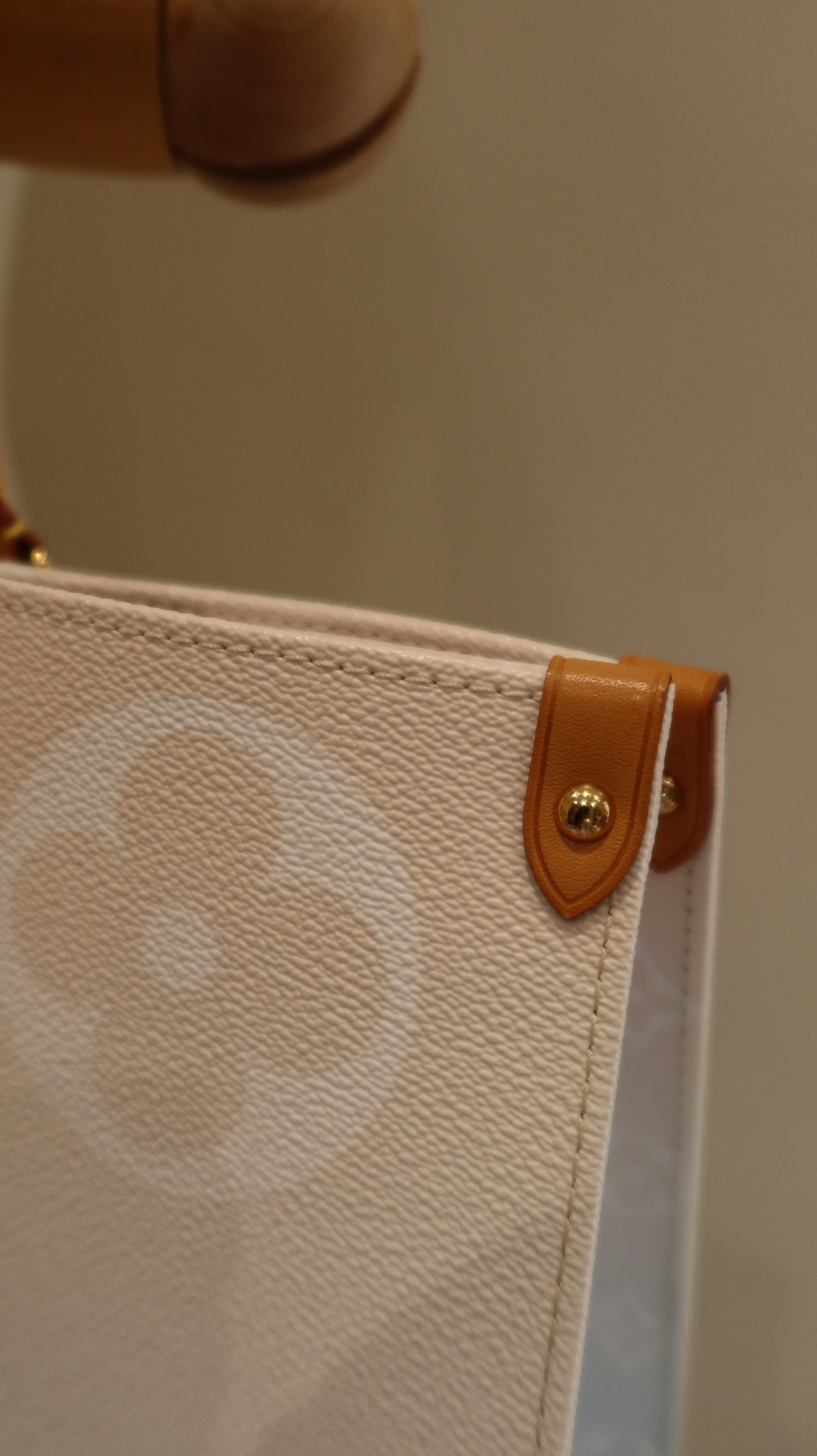 Louis Vuitton By The Pool ONTHEGO GM *Limited Edition*