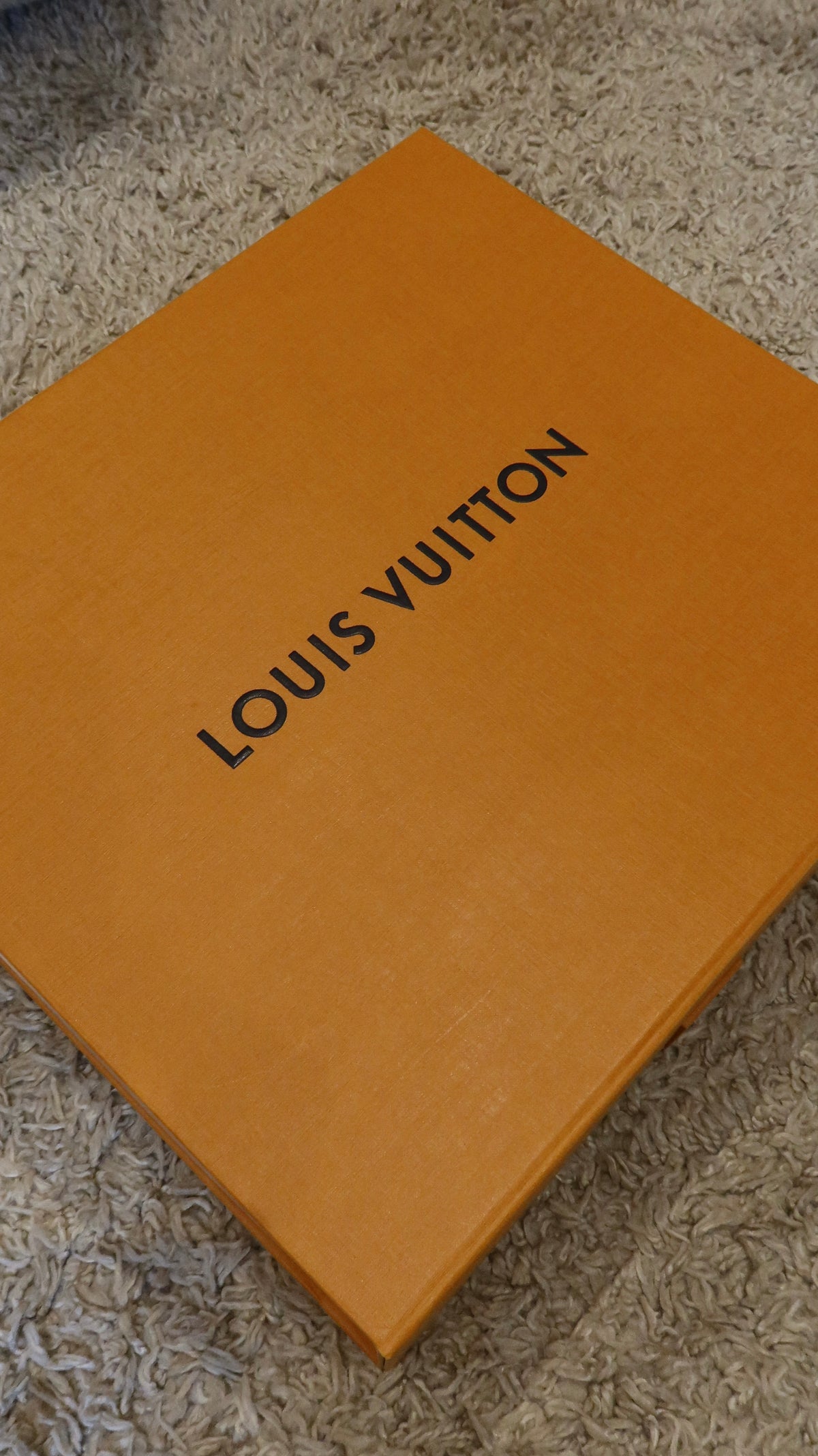 Louis Vuitton Side Trunk MM Bag