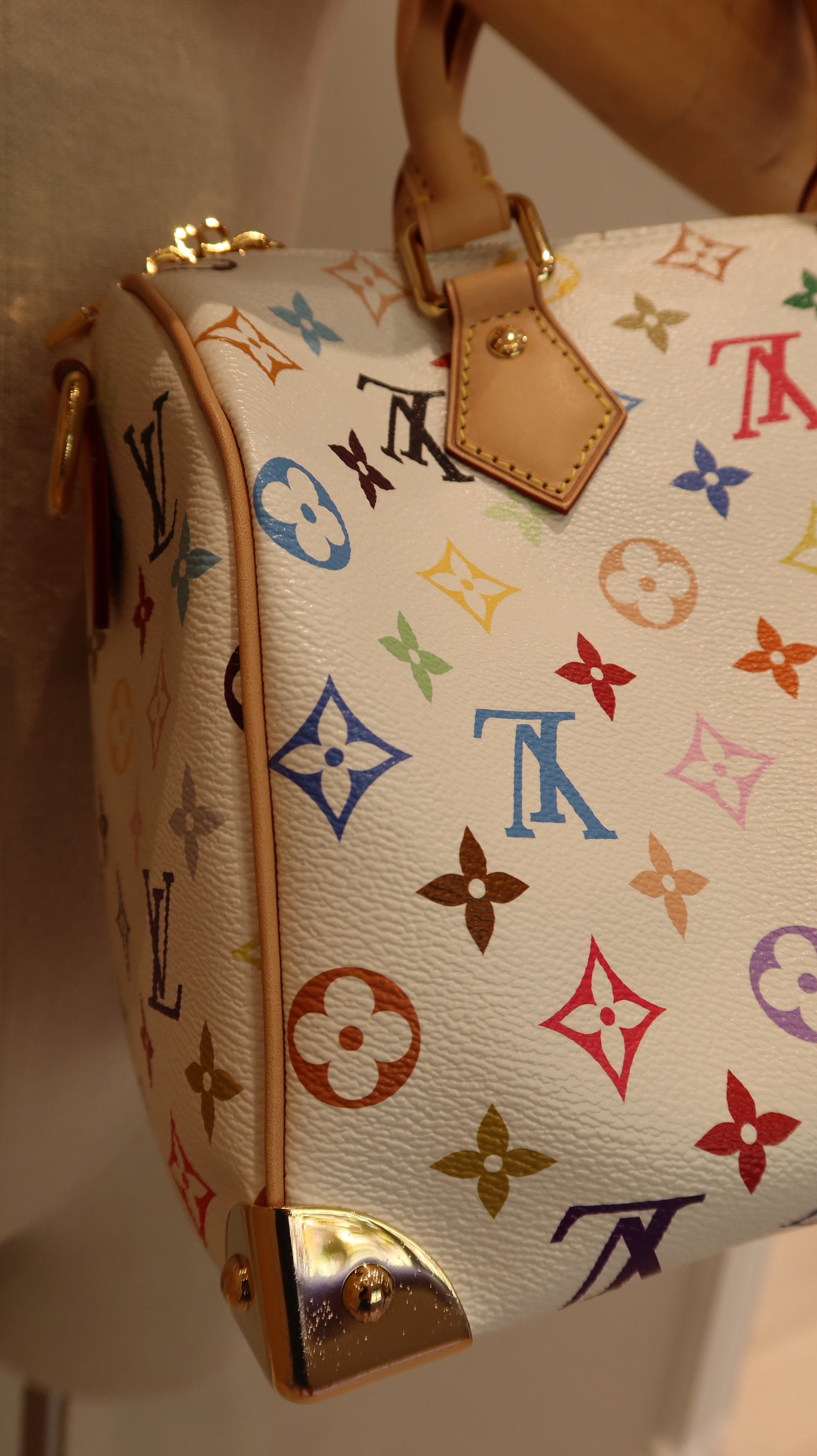 Louis Vuitton x Takashi Murakami Speedy Bandouliere 25 *Limited Edition*