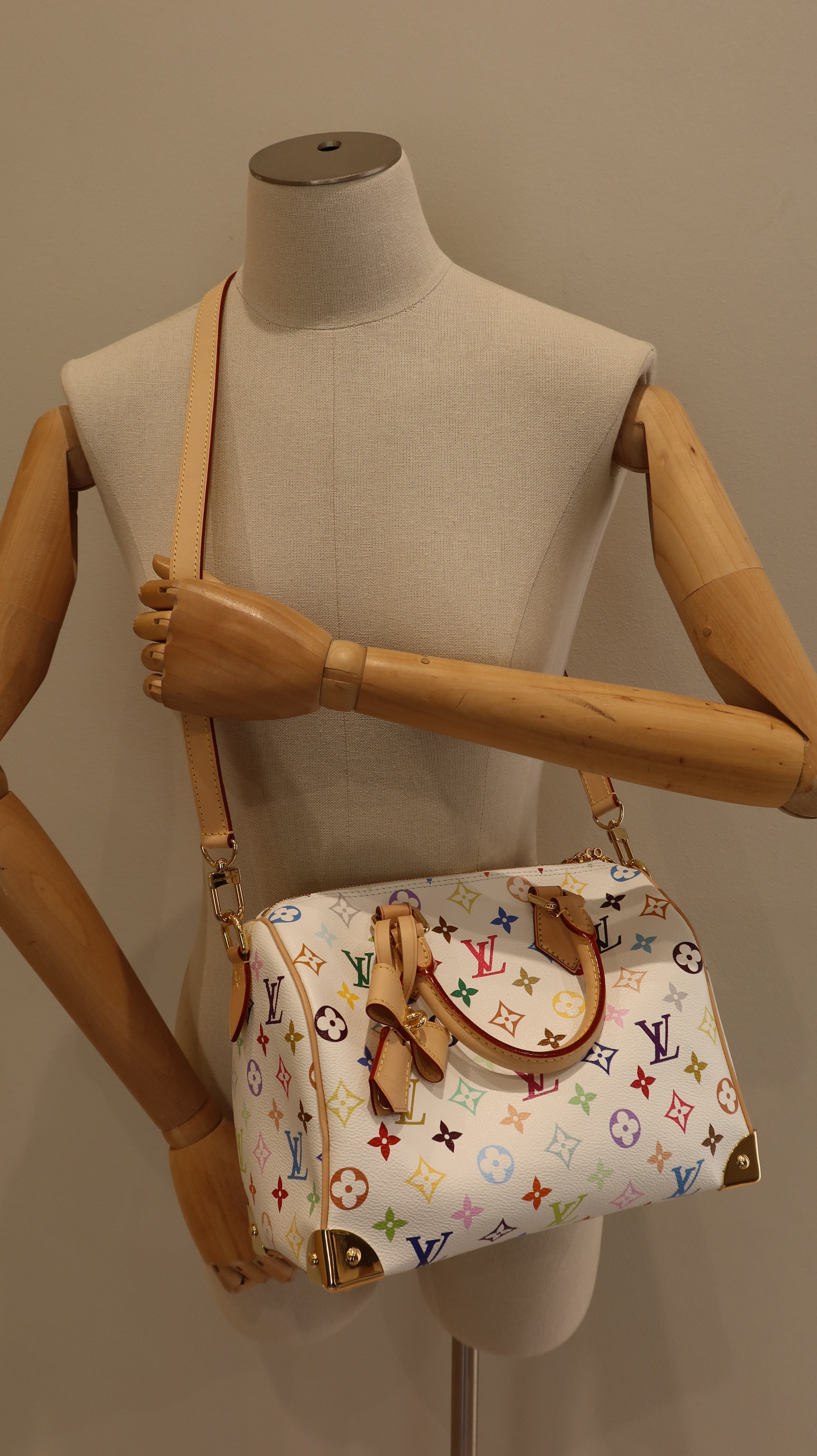 Louis Vuitton x Takashi Murakami Speedy Bandouliere 25 *Limited Edition*