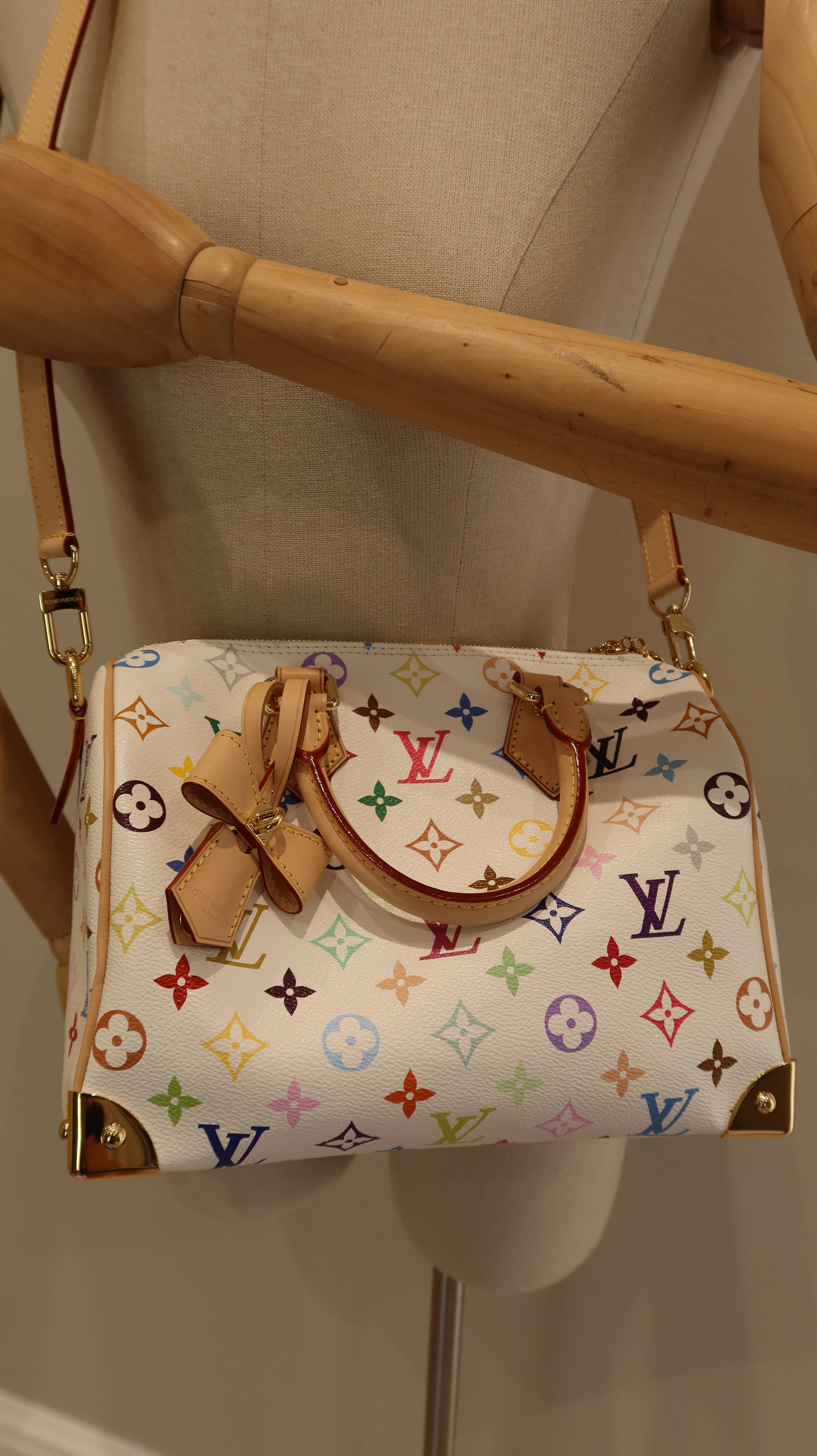 Louis Vuitton x Takashi Murakami Speedy Bandouliere 25 *Limited Edition*