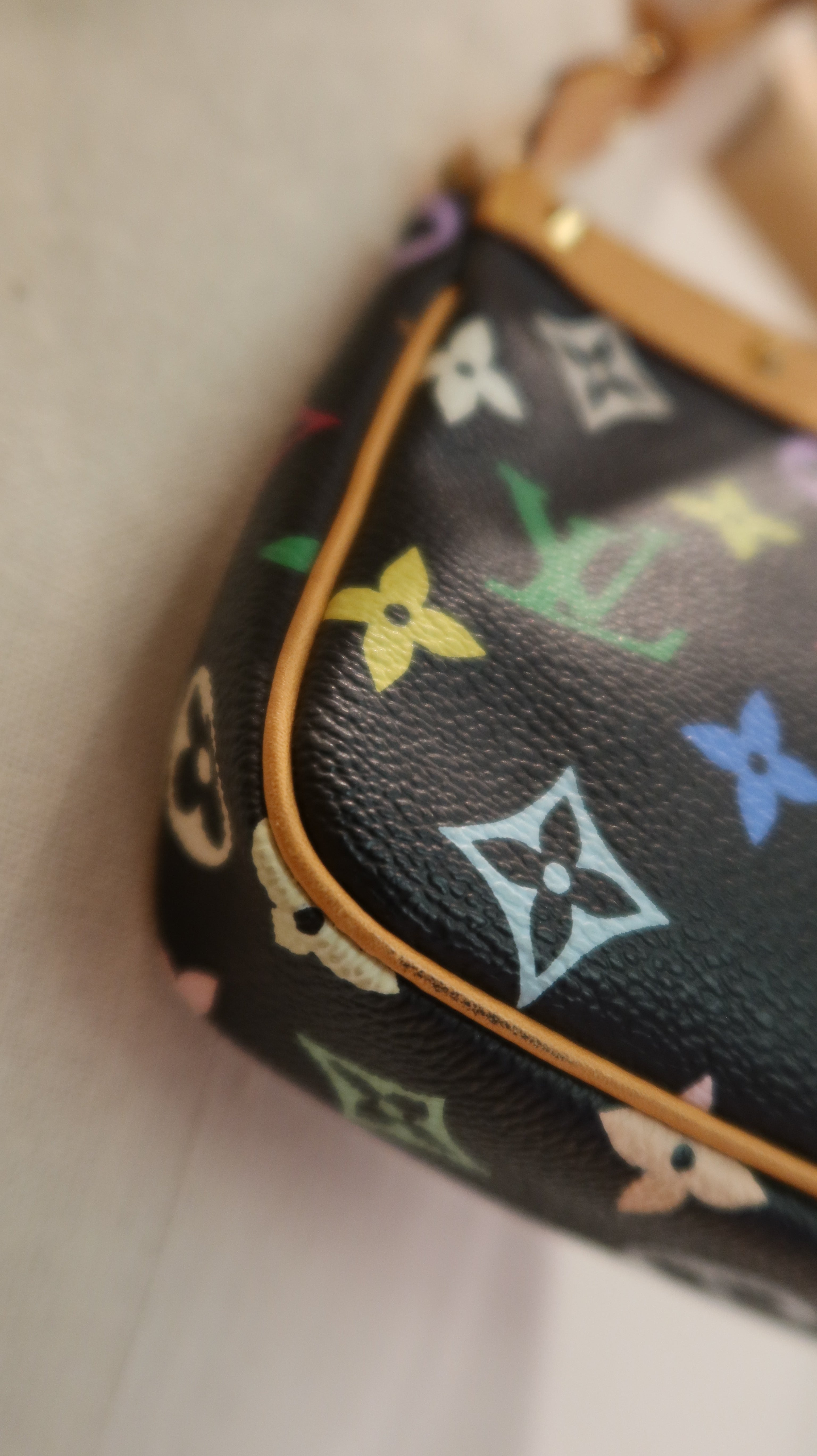 Louis Vuitton x Takashi Murakami Pochette Accessoires *Vintage*