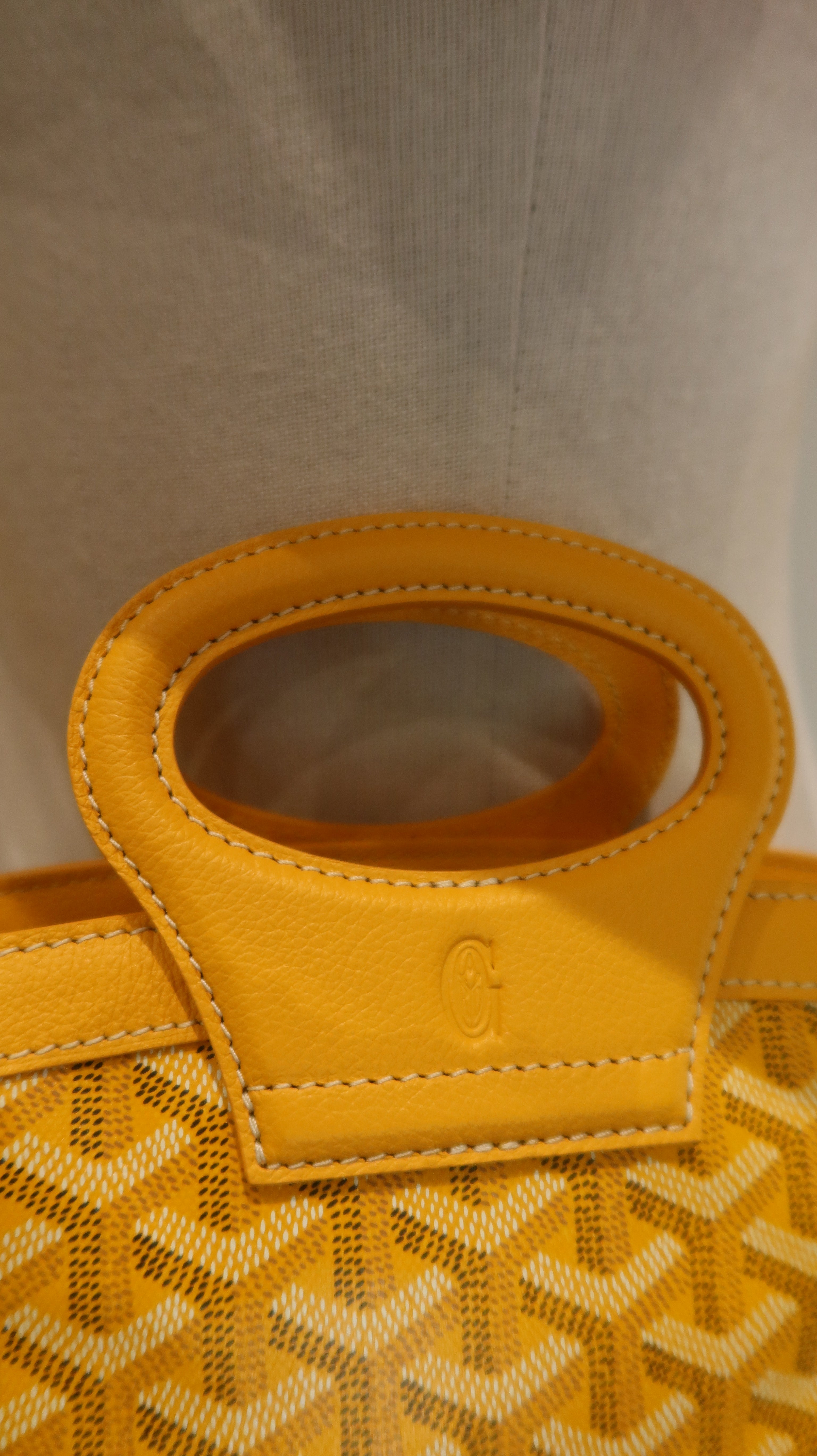 Goyard Beluga Mini Bag *Store Fresh*