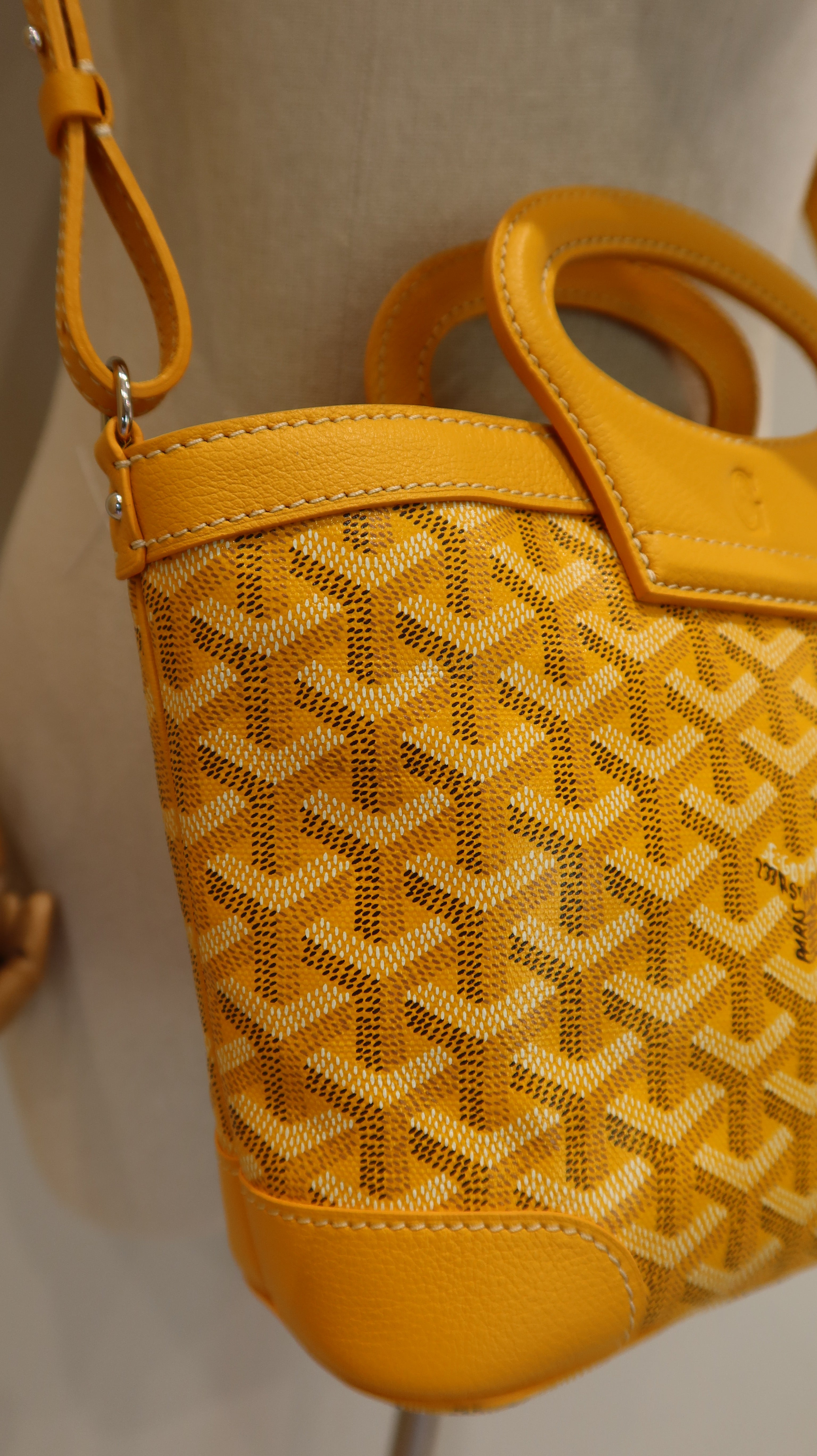 Goyard Beluga Mini Bag *Store Fresh*