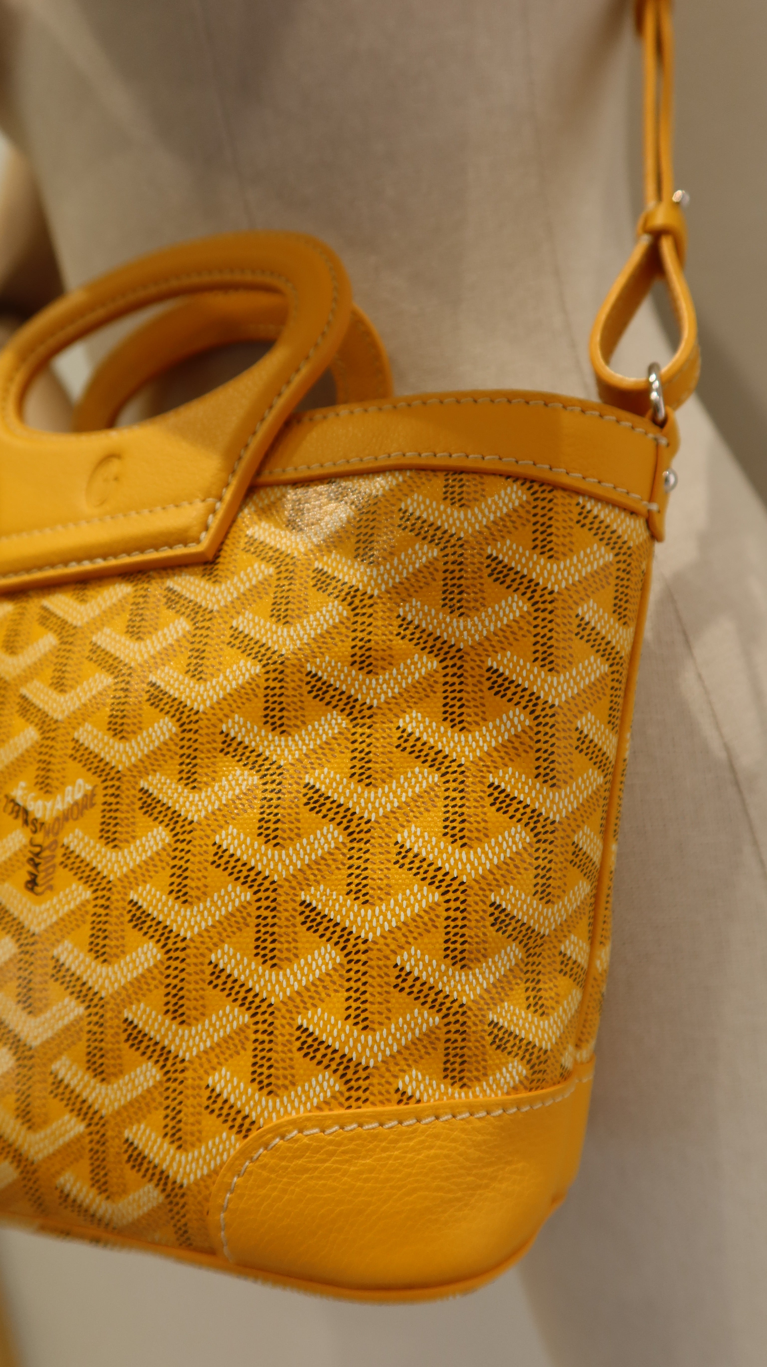 Goyard Beluga Mini Bag *Store Fresh*