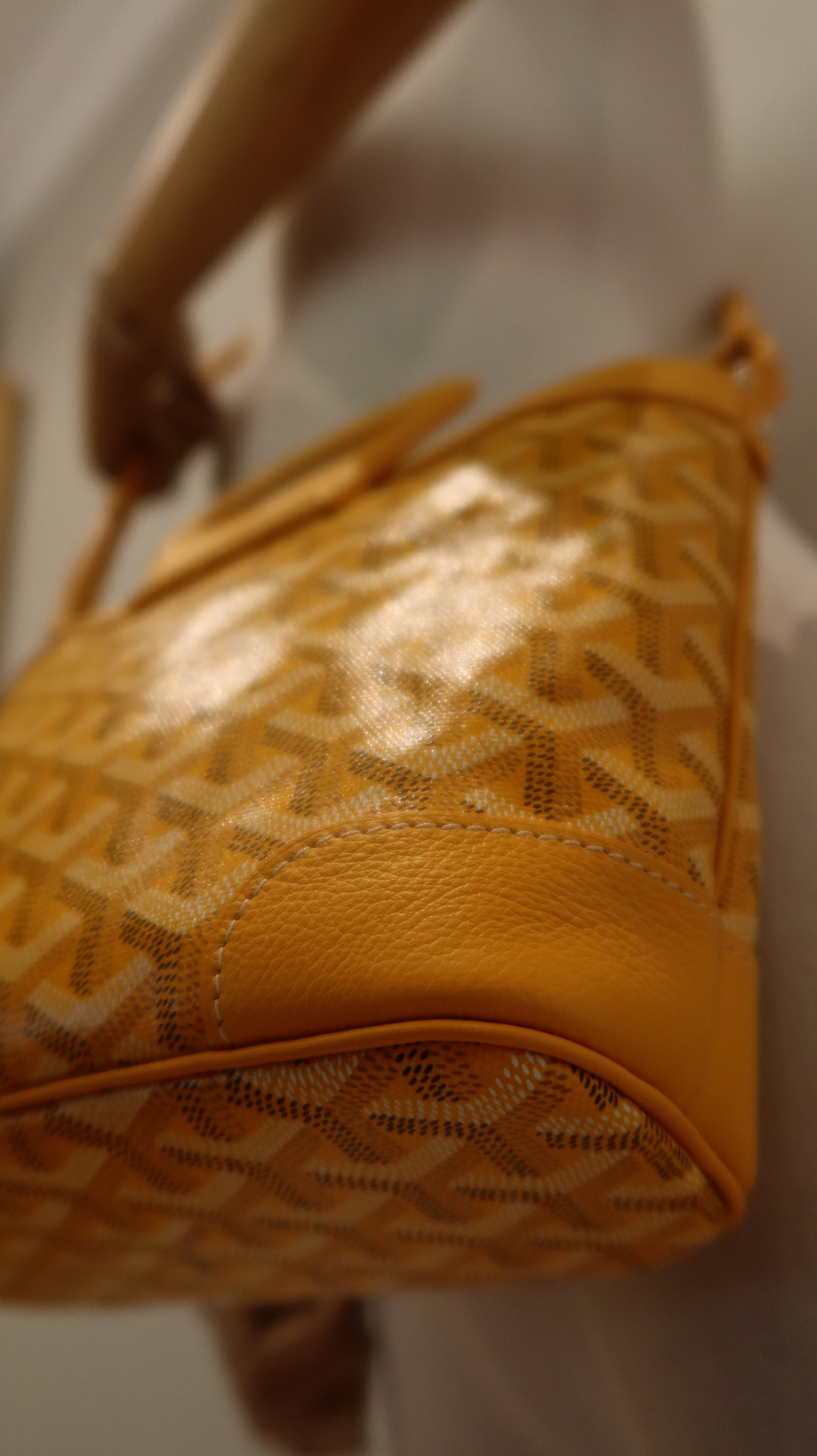 Goyard Beluga Mini Bag *Store Fresh*