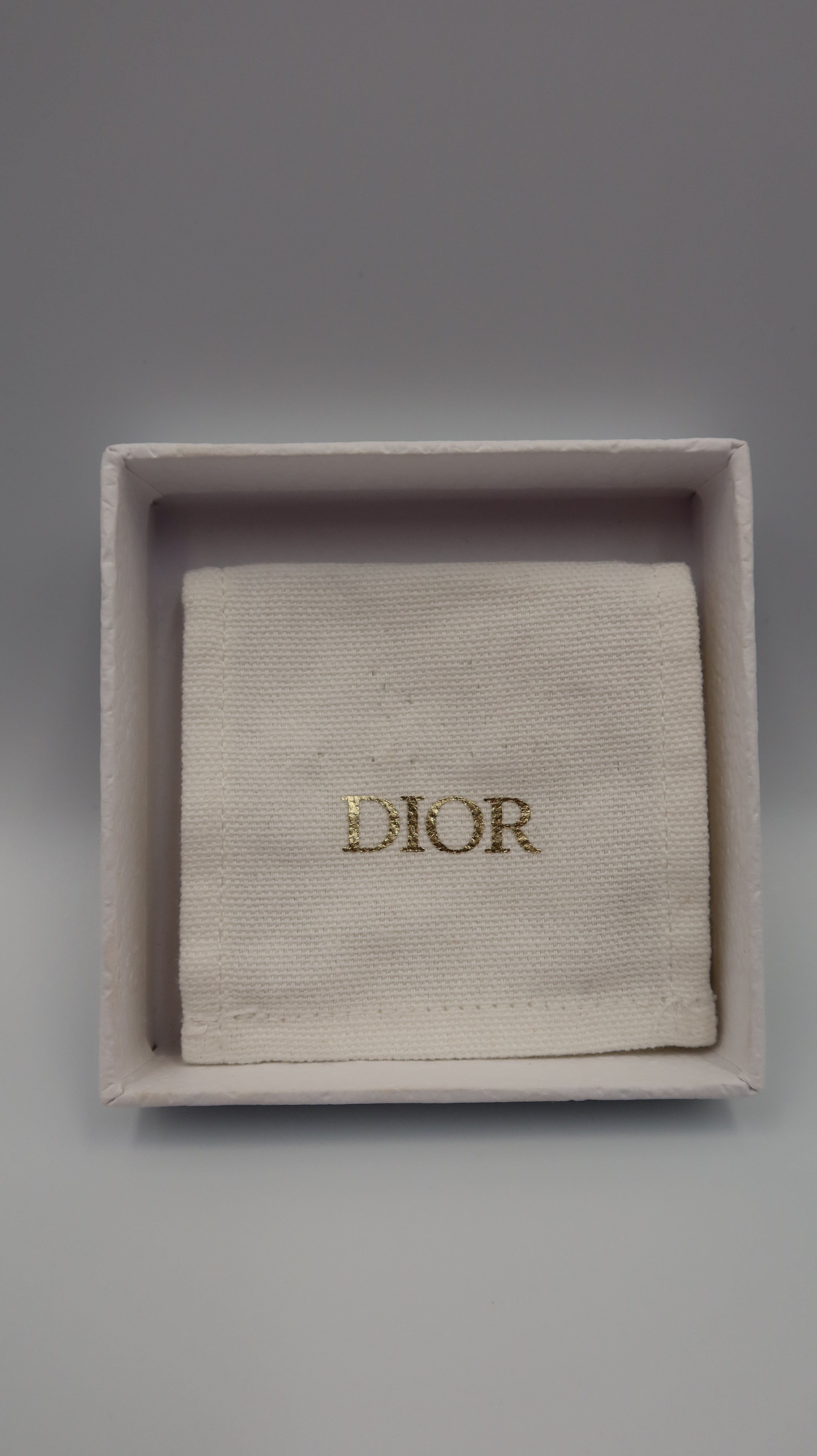 Dior Brooch
