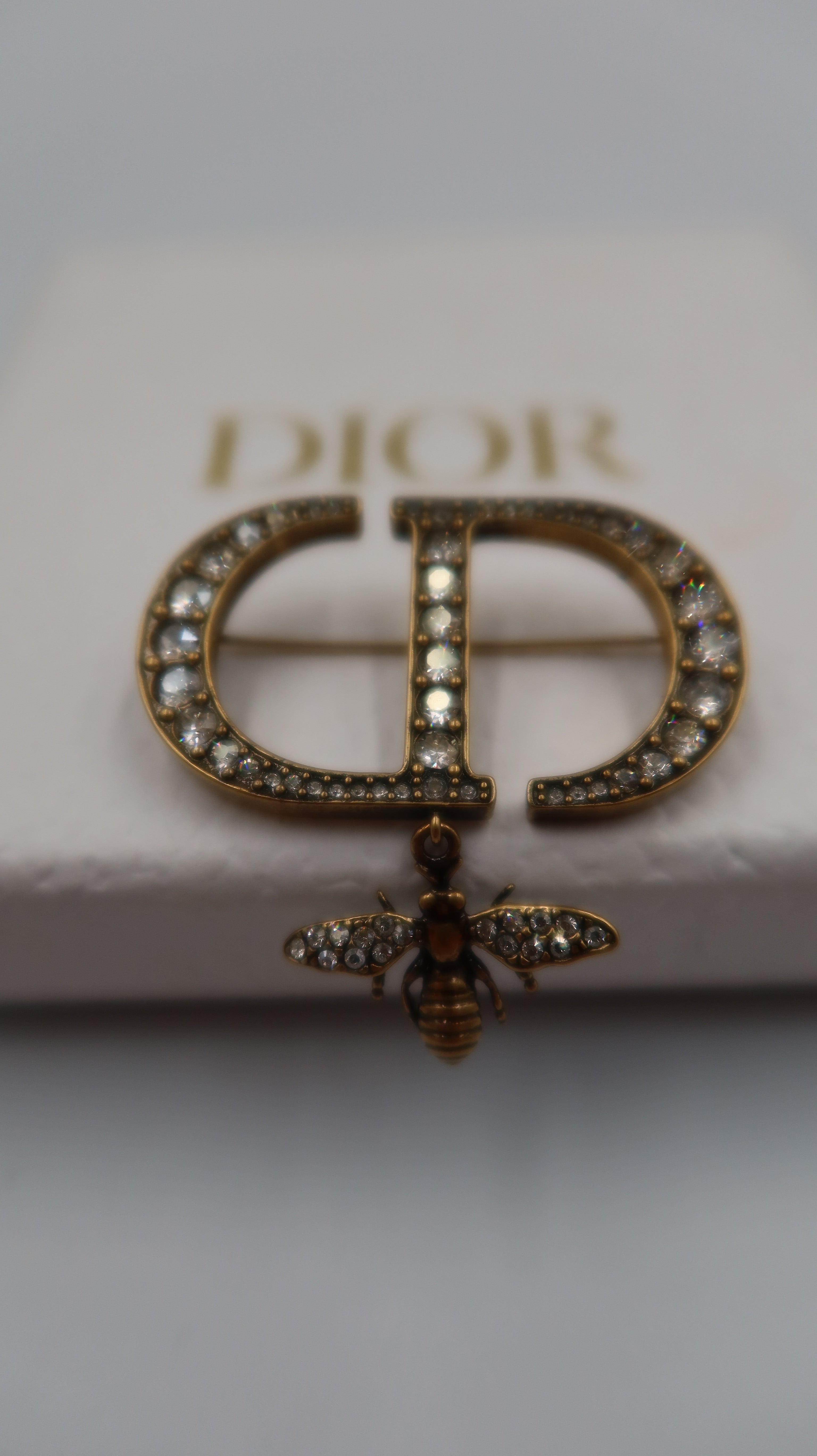 Dior Brooch
