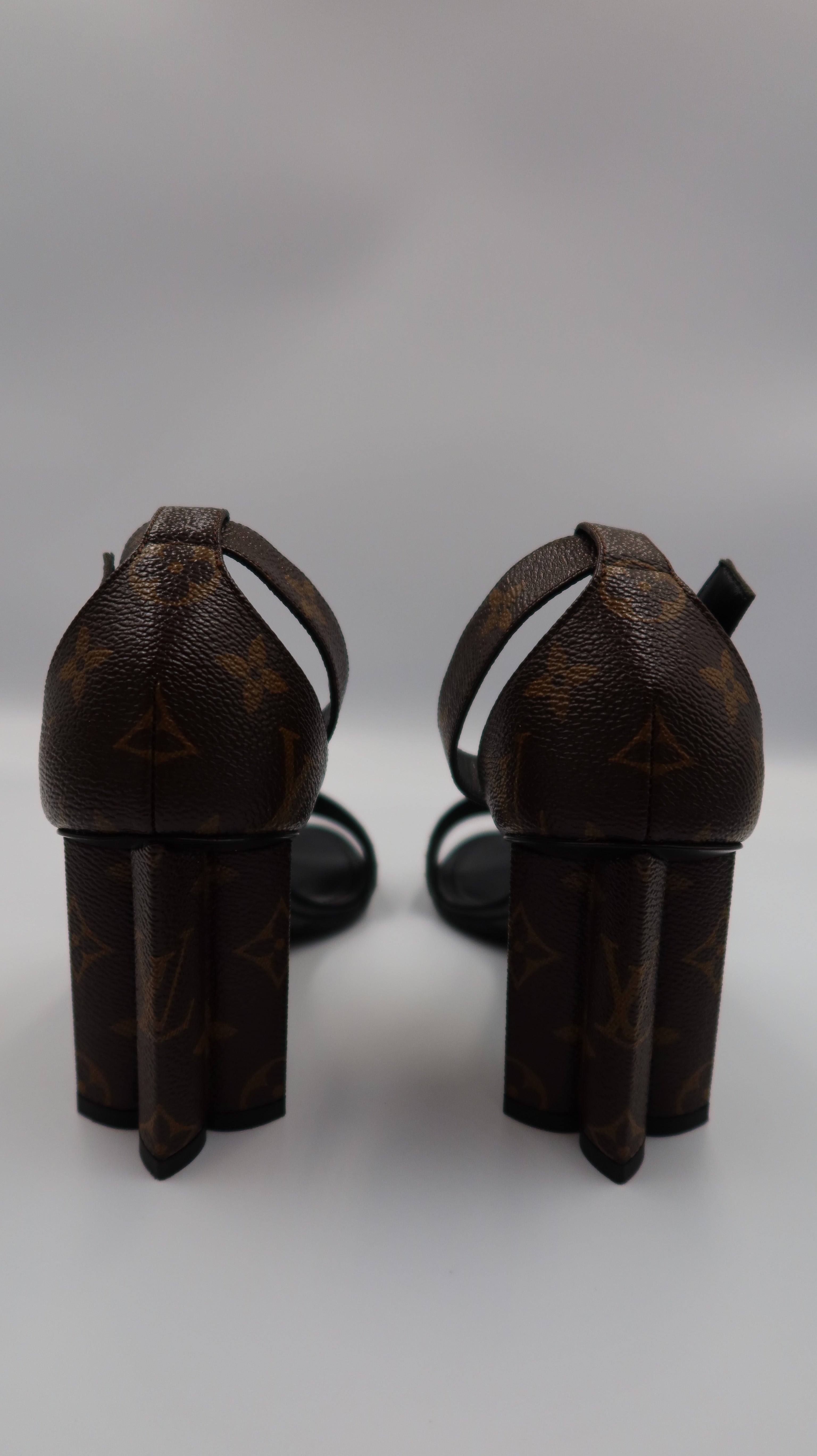 Louis Vuitton Heels (EU39)