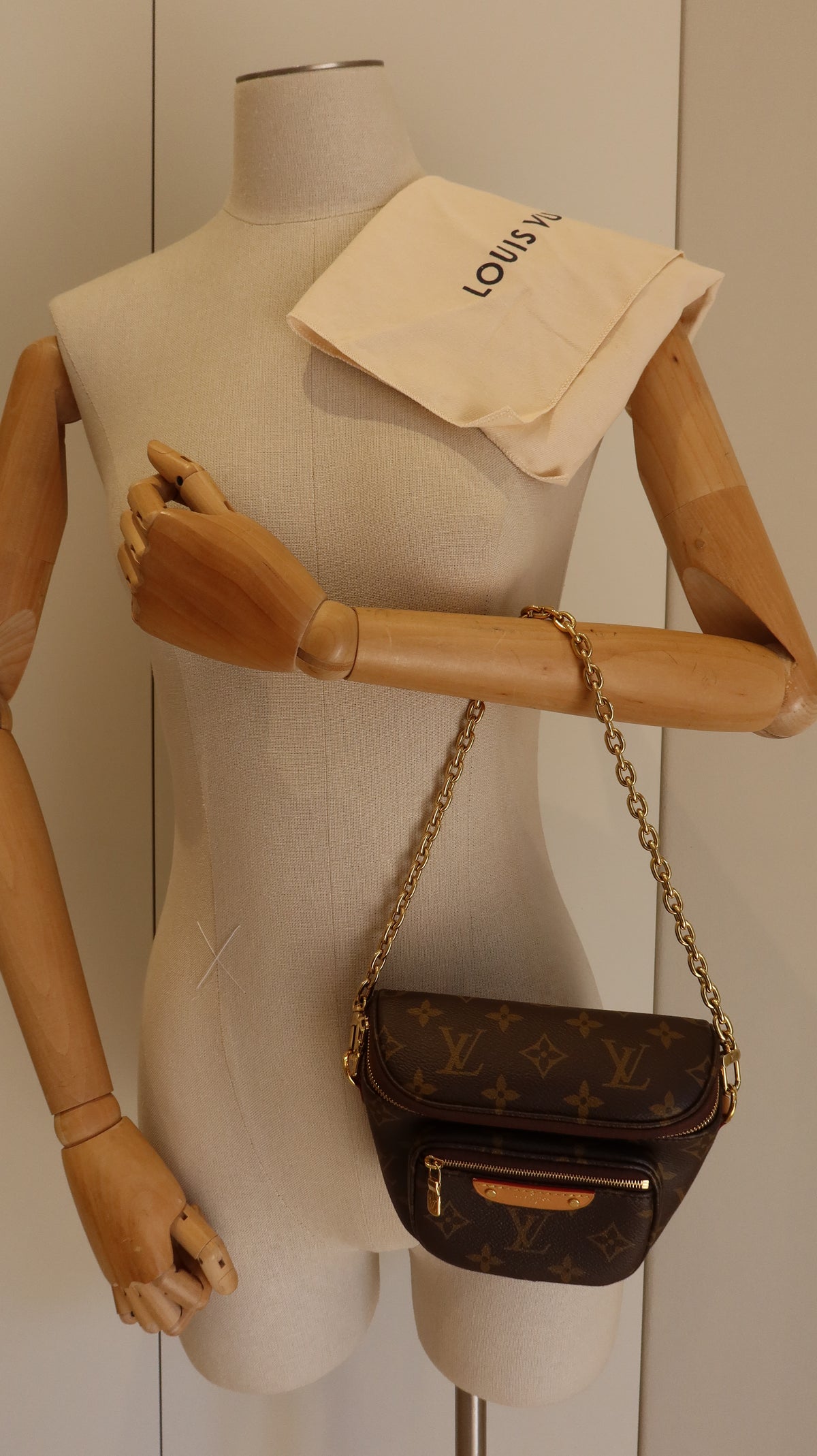 Louis Vuitton Mini Bum Bag