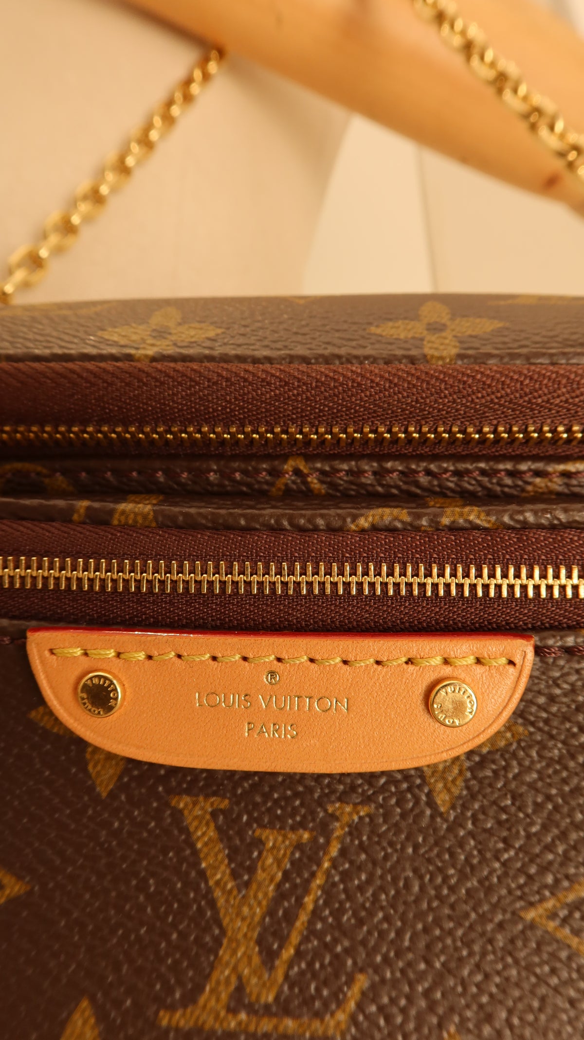 Louis Vuitton Mini Bum Bag