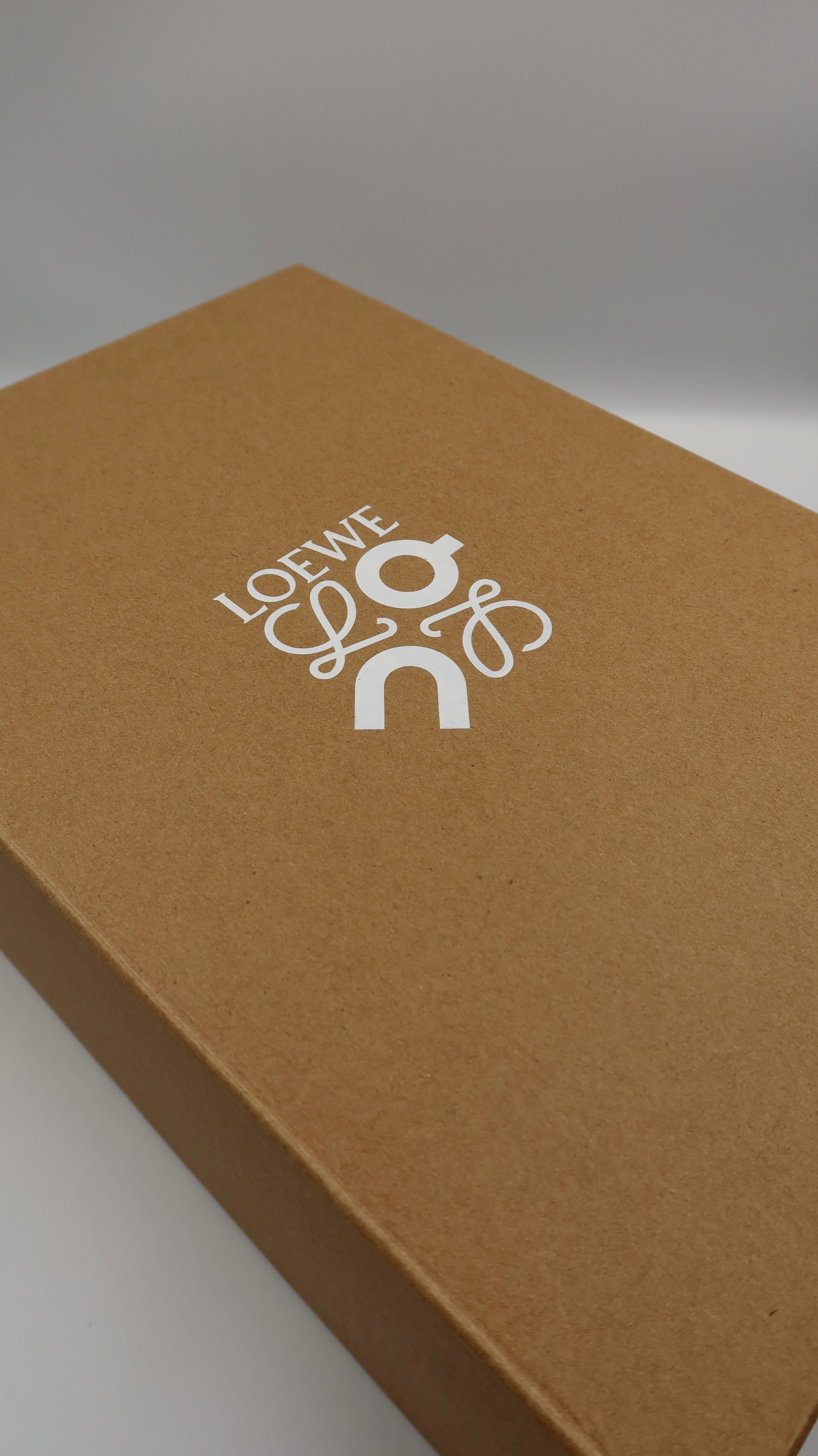 Loewe On Cloud (EU44)