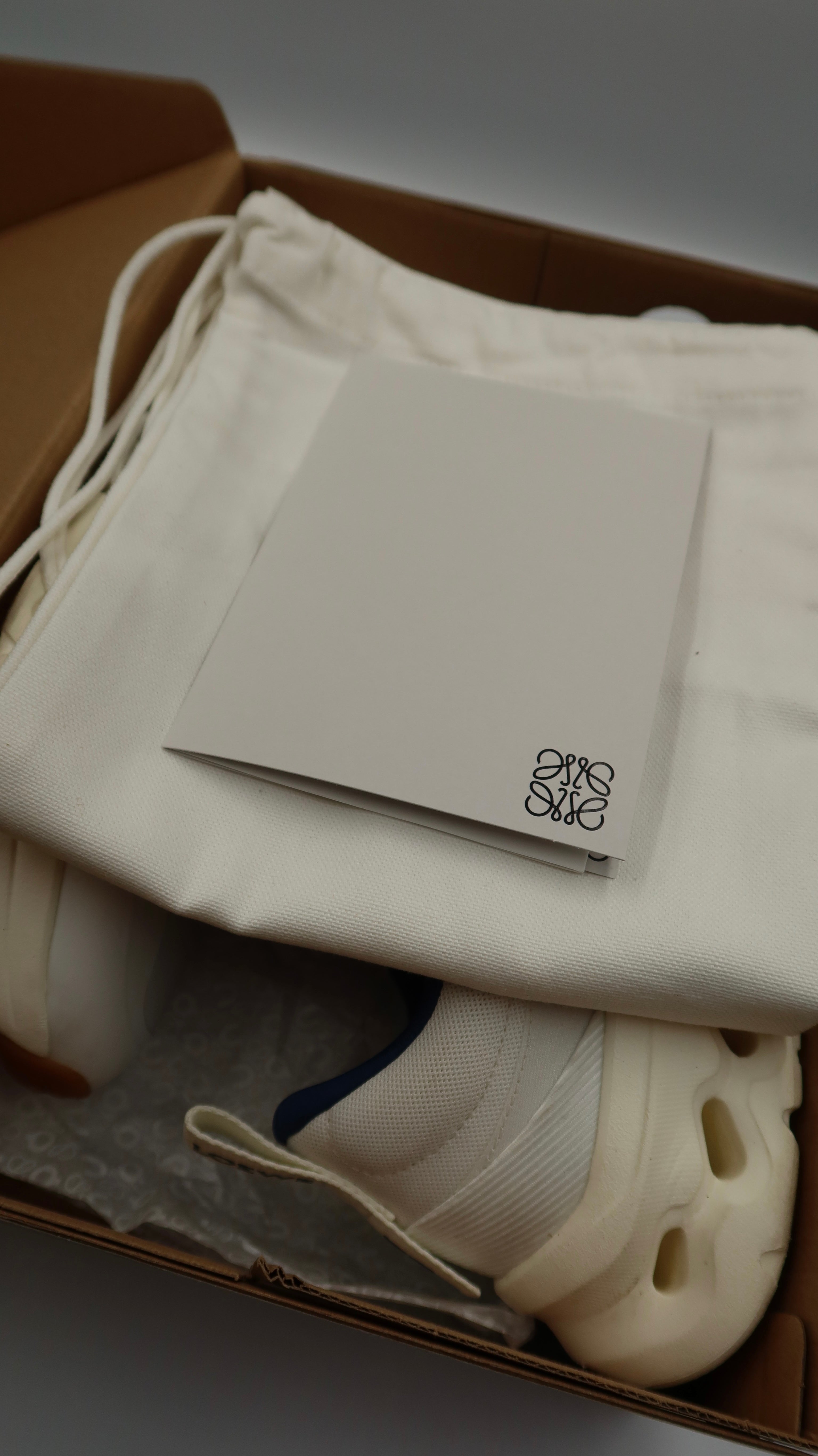 Loewe On Cloud (EU44)