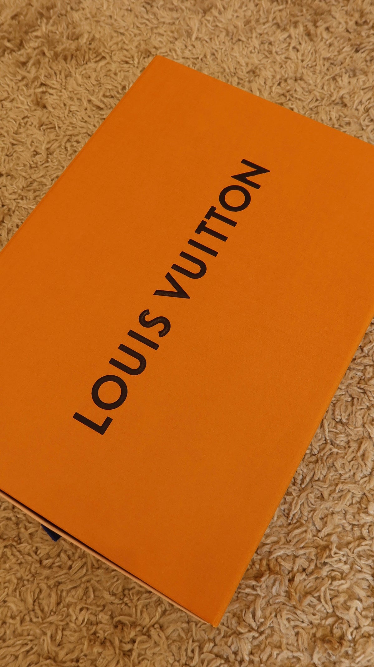 Louis Vuitton Capucines East-West Mini Bag