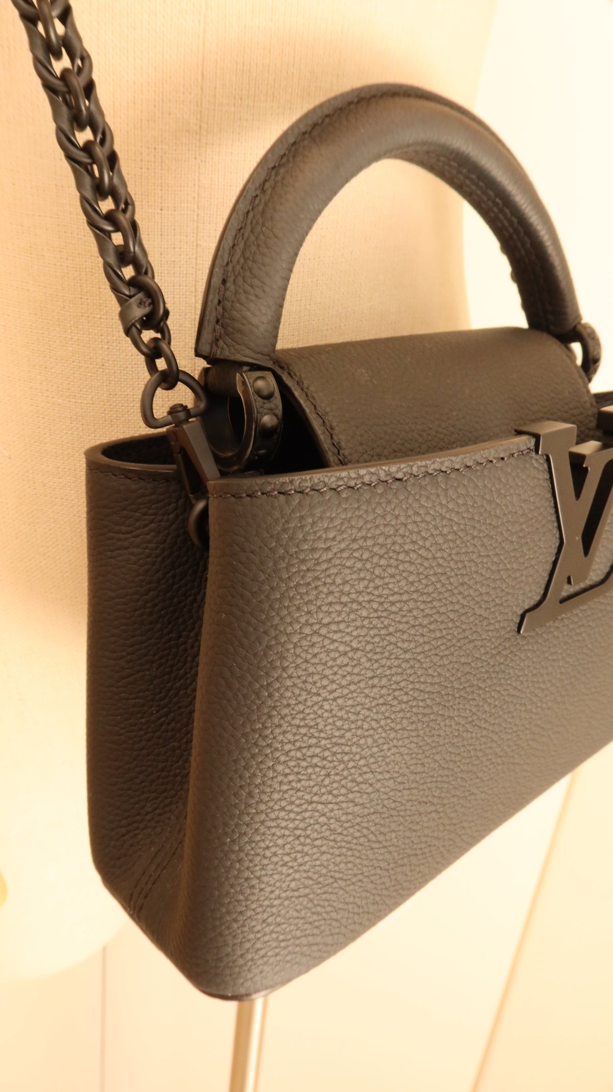 Louis Vuitton Capucines East-West Mini Bag