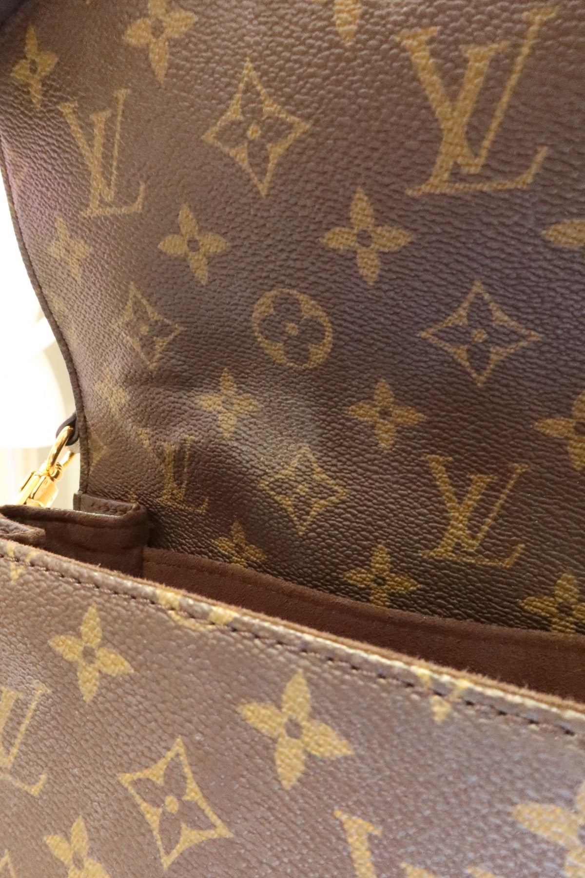 Louis Vuitton Pochette Metis Bag