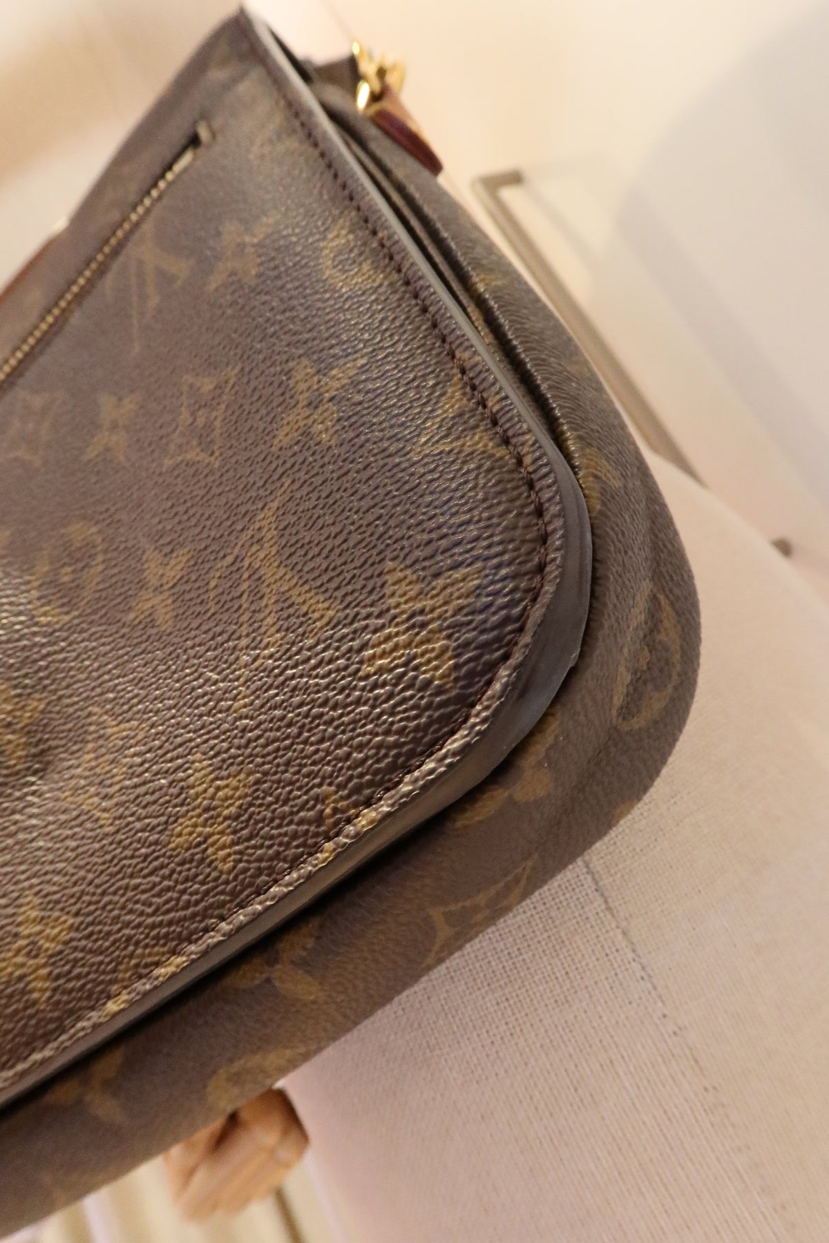 Louis Vuitton Pochette Metis Bag