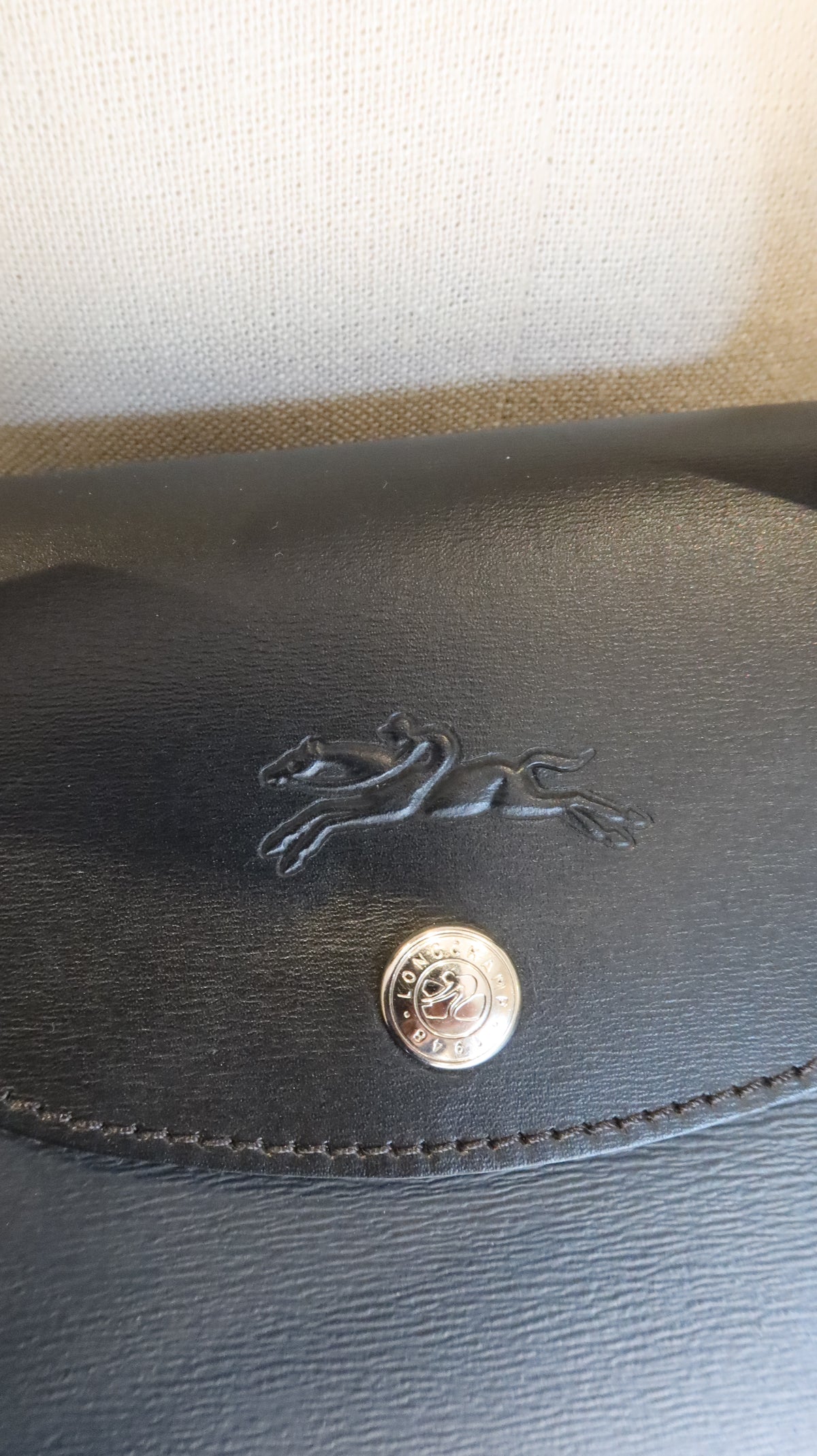 Longchamp Le Pliage City Bag