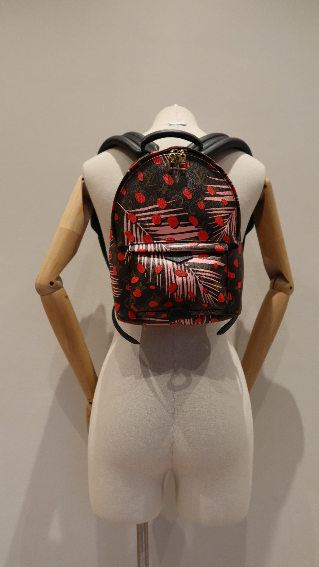 Louis Vuitton Limited Edition Palm Springs Backpack