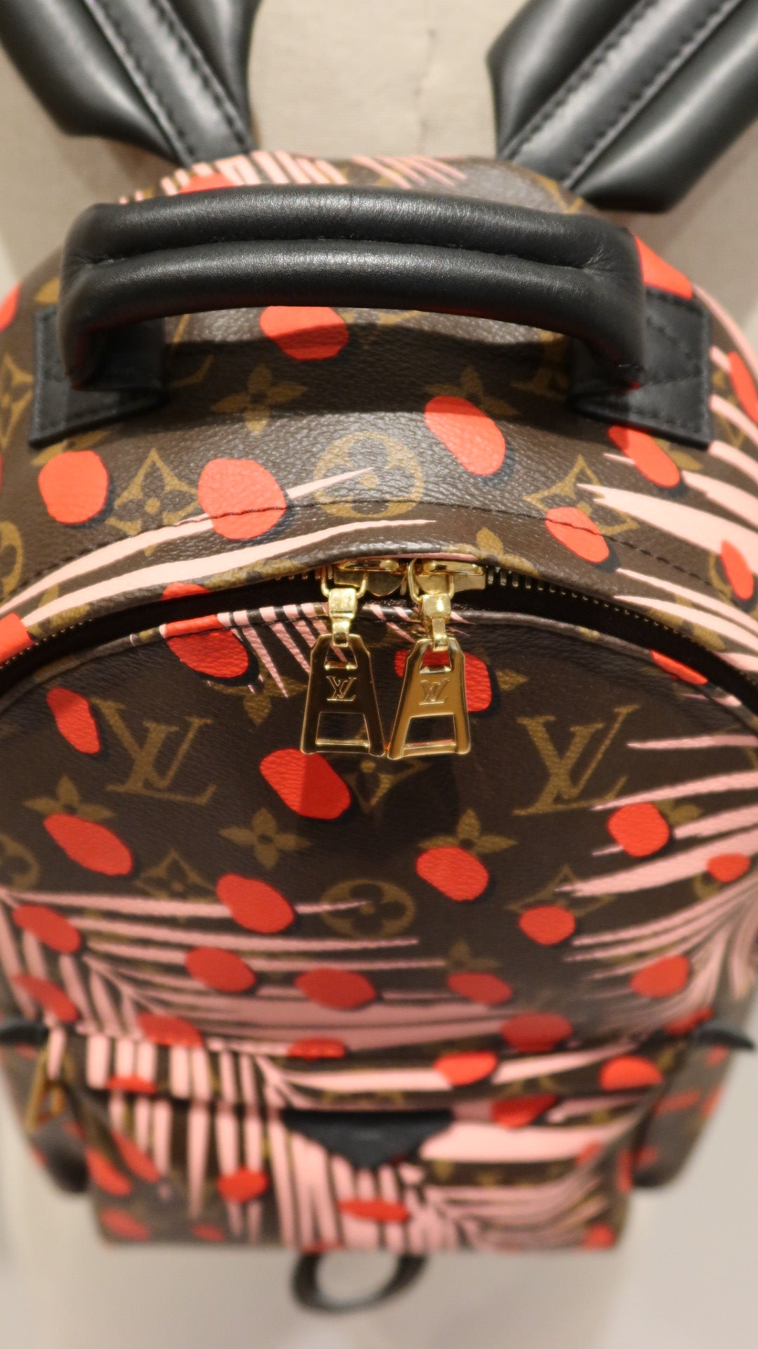 Louis Vuitton Limited Edition Palm Springs Backpack
