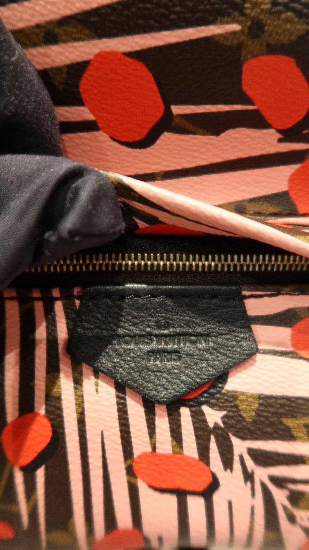 Louis Vuitton Limited Edition Palm Springs Backpack