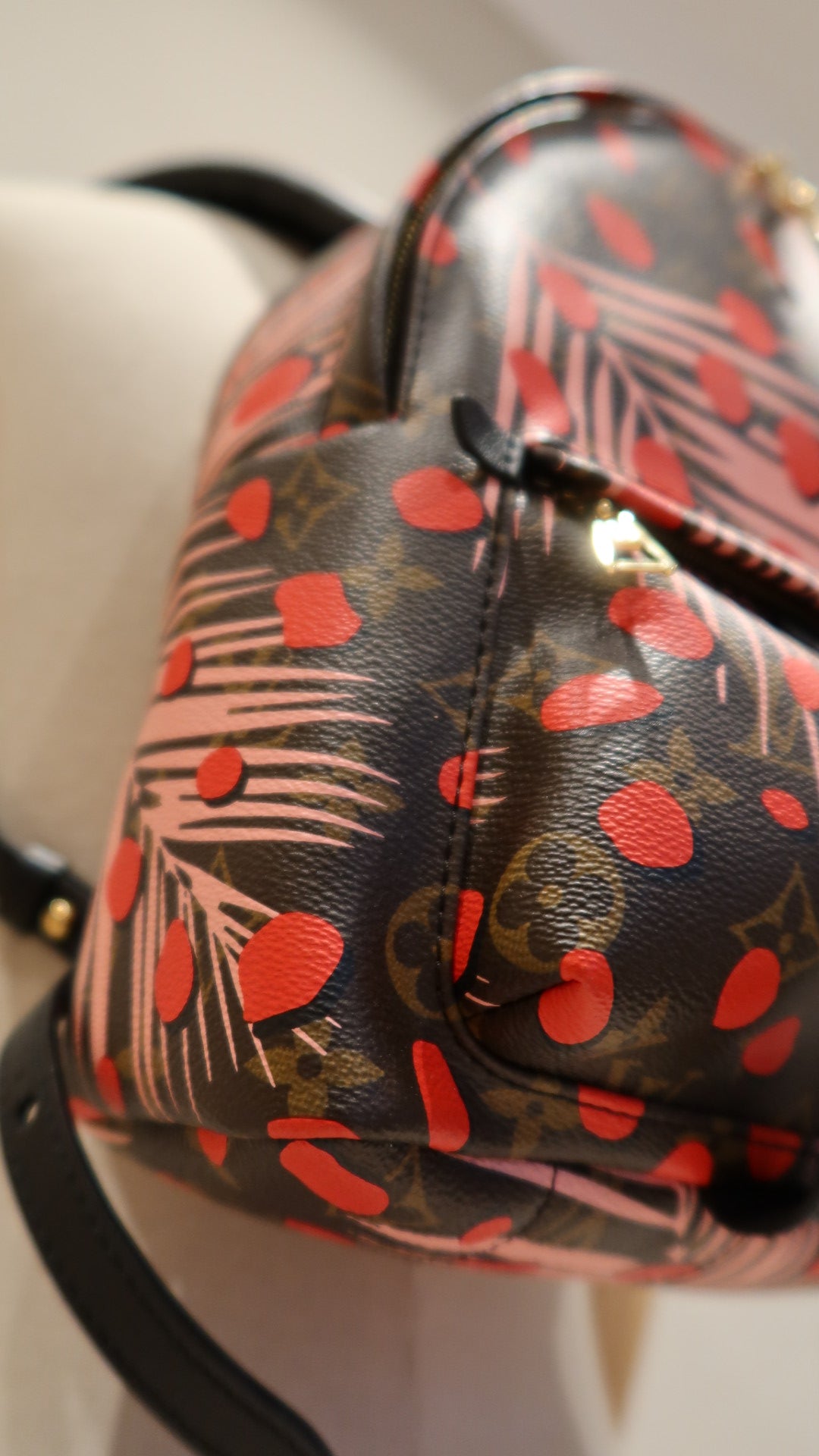 Louis Vuitton Limited Edition Palm Springs Backpack