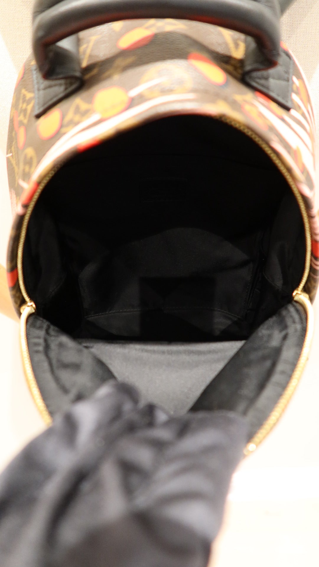 Louis Vuitton Limited Edition Palm Springs Backpack