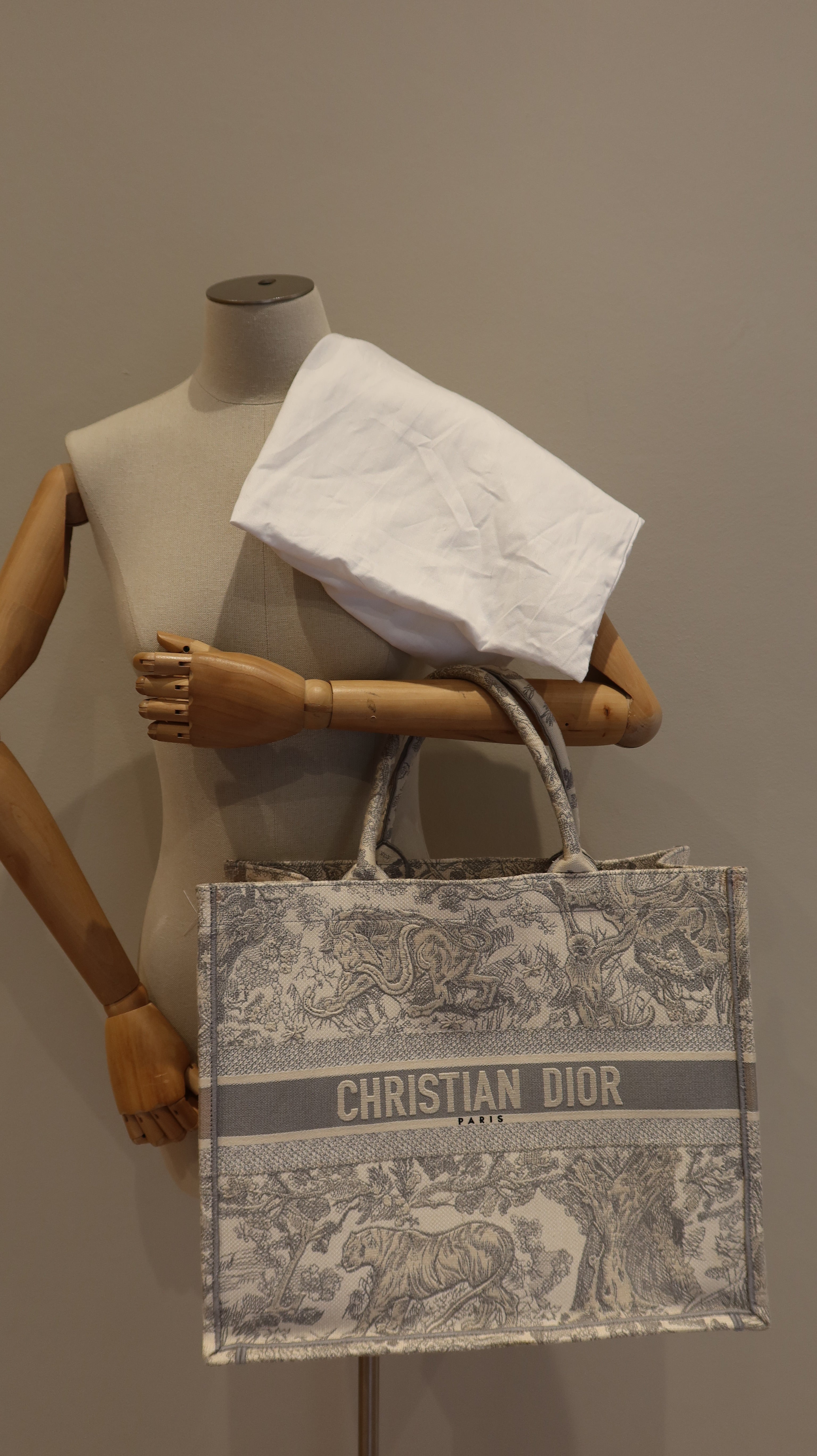 Christian Dior Book Tote