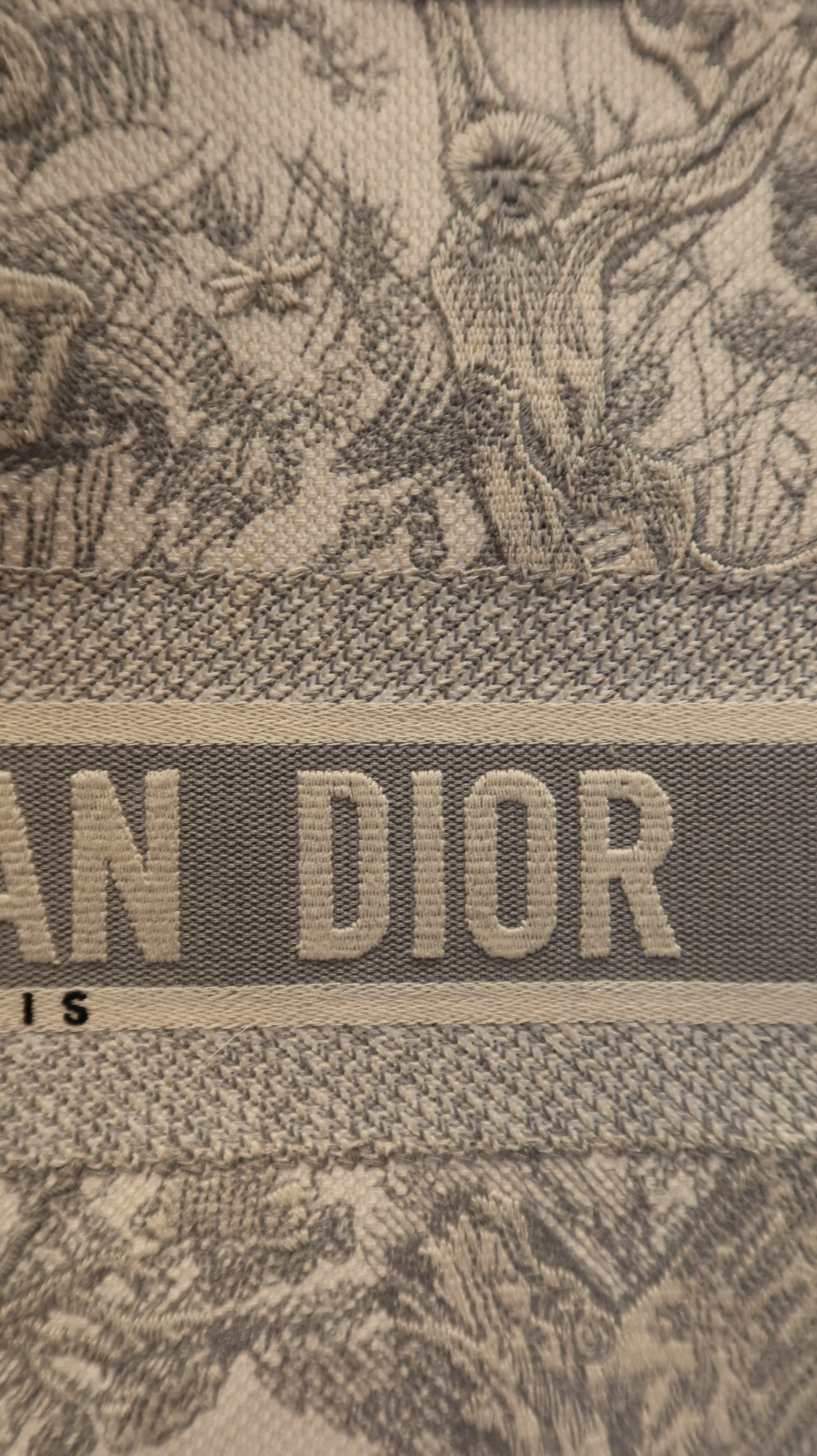 Christian Dior Book Tote
